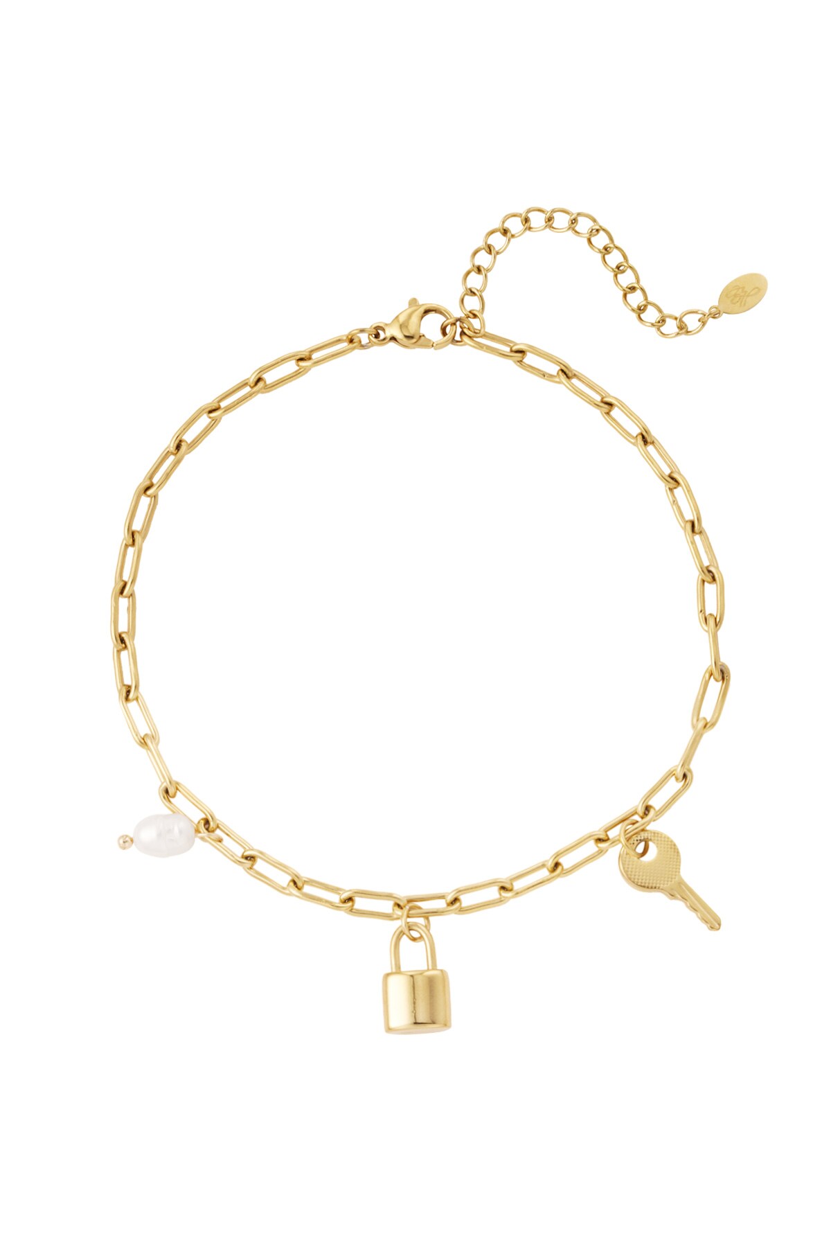 Anklet with charms - Gold color h5 