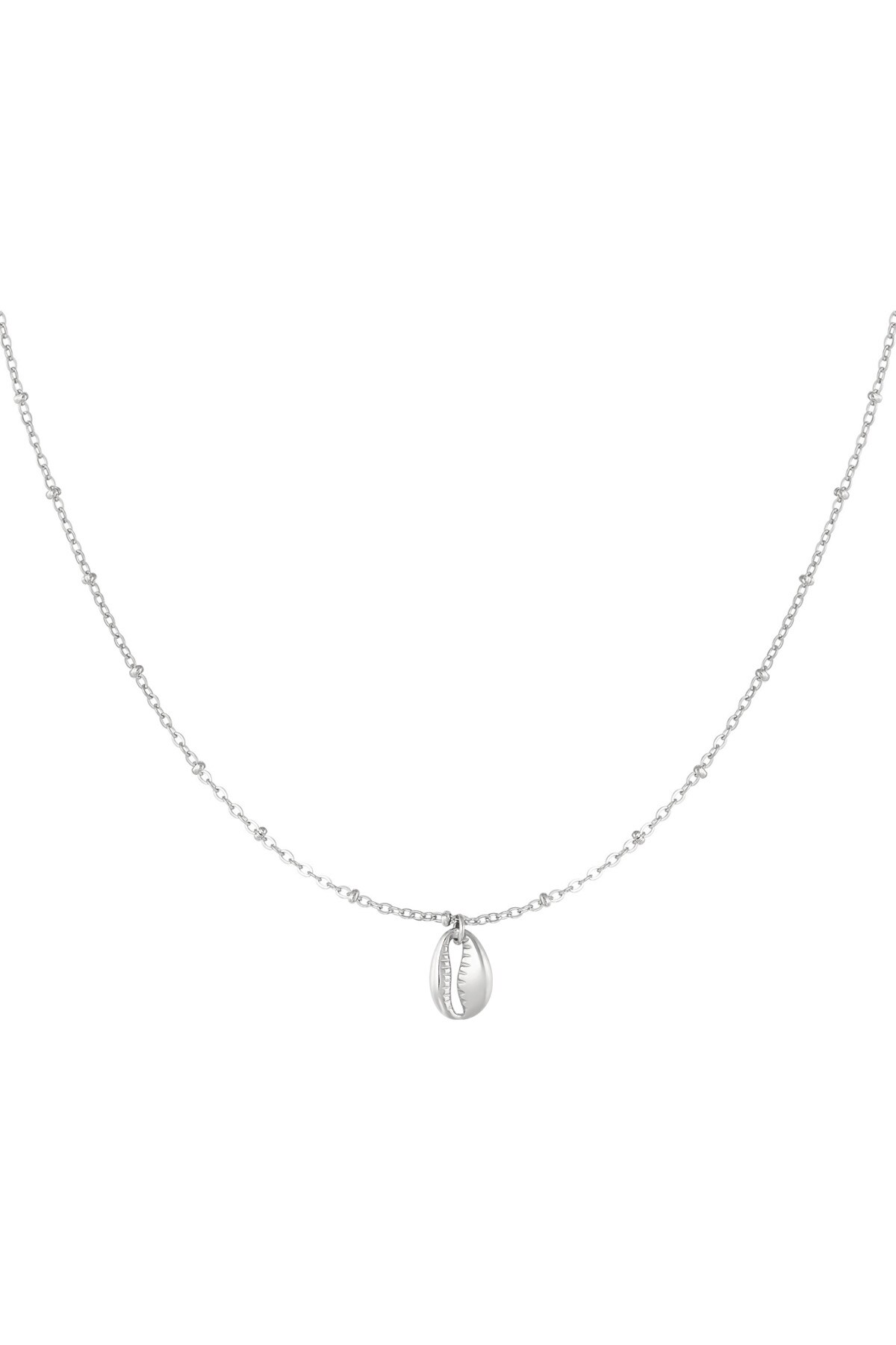 Link chain with shell - Silver color h5 