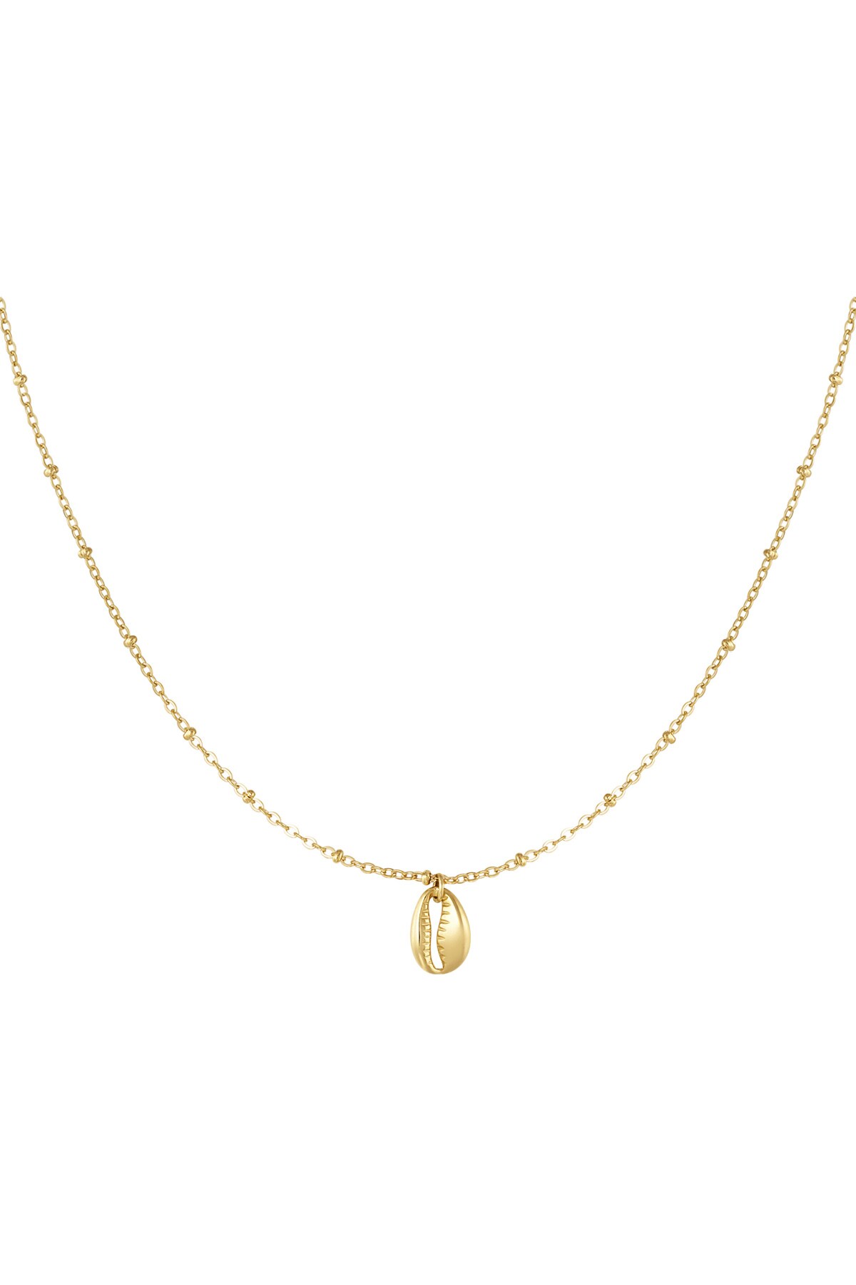 Link chain with shell - Gold color 