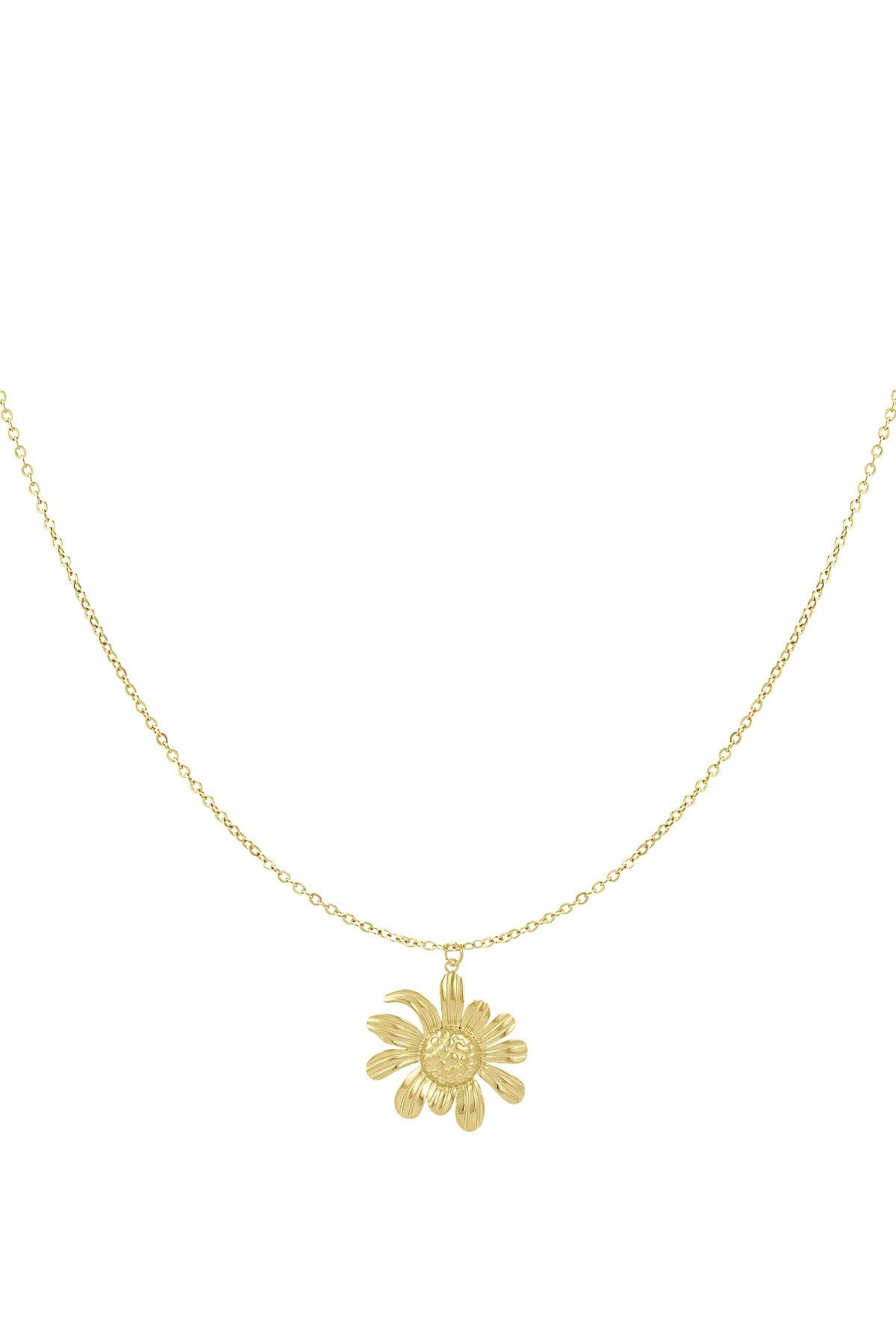 Happy daisy necklace - Gold color h5 