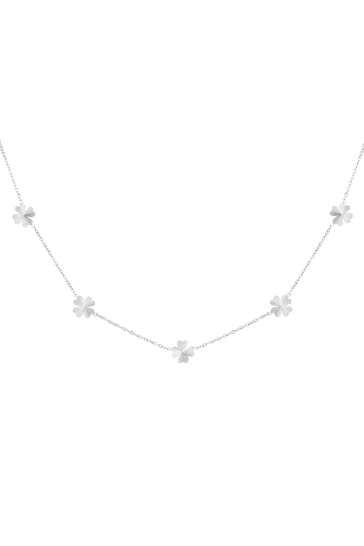 Leafy luck necklace - Silver color h5 