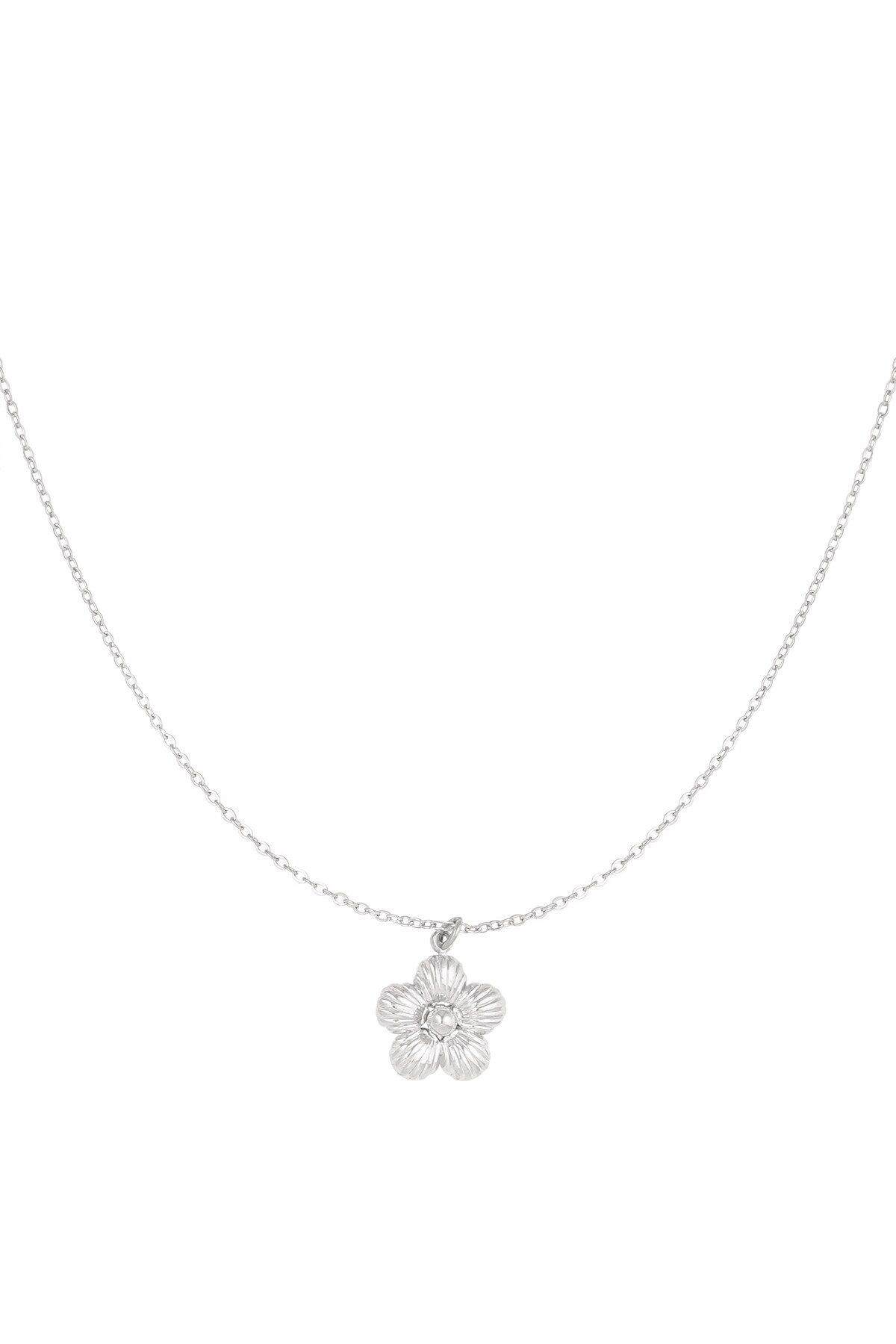 Daisy necklace - Silver color h5 