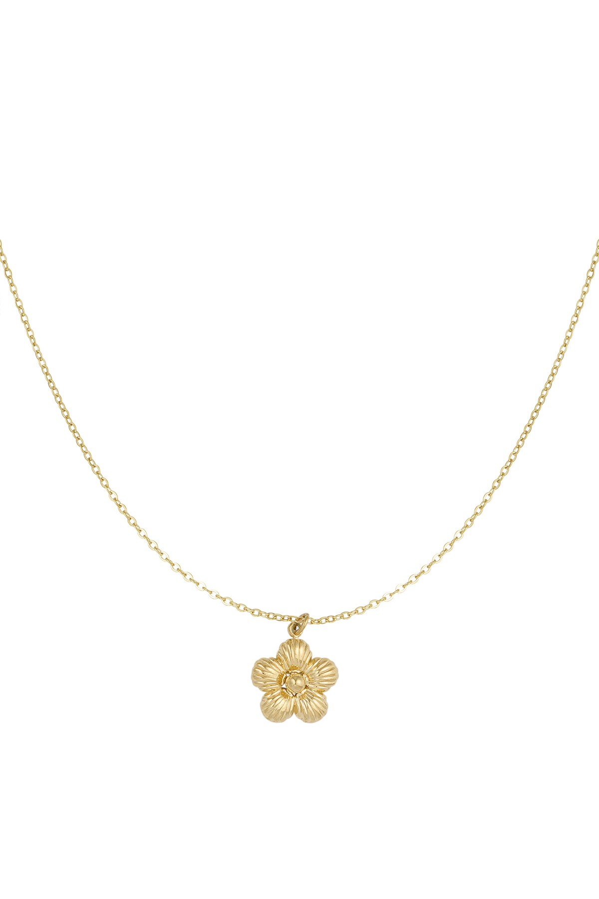 Daisy necklace - Gold color h5 