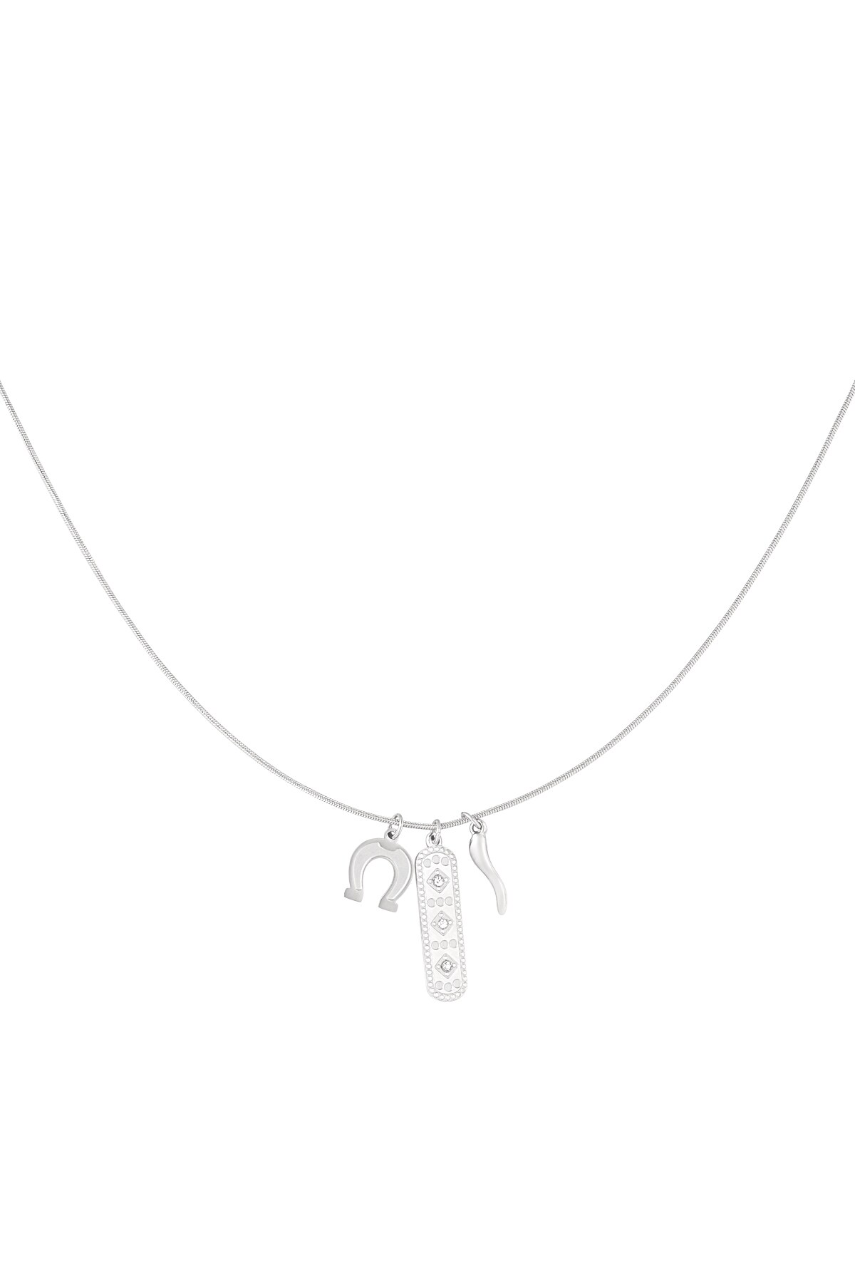 Lucky hoof necklace - Silver color h5 