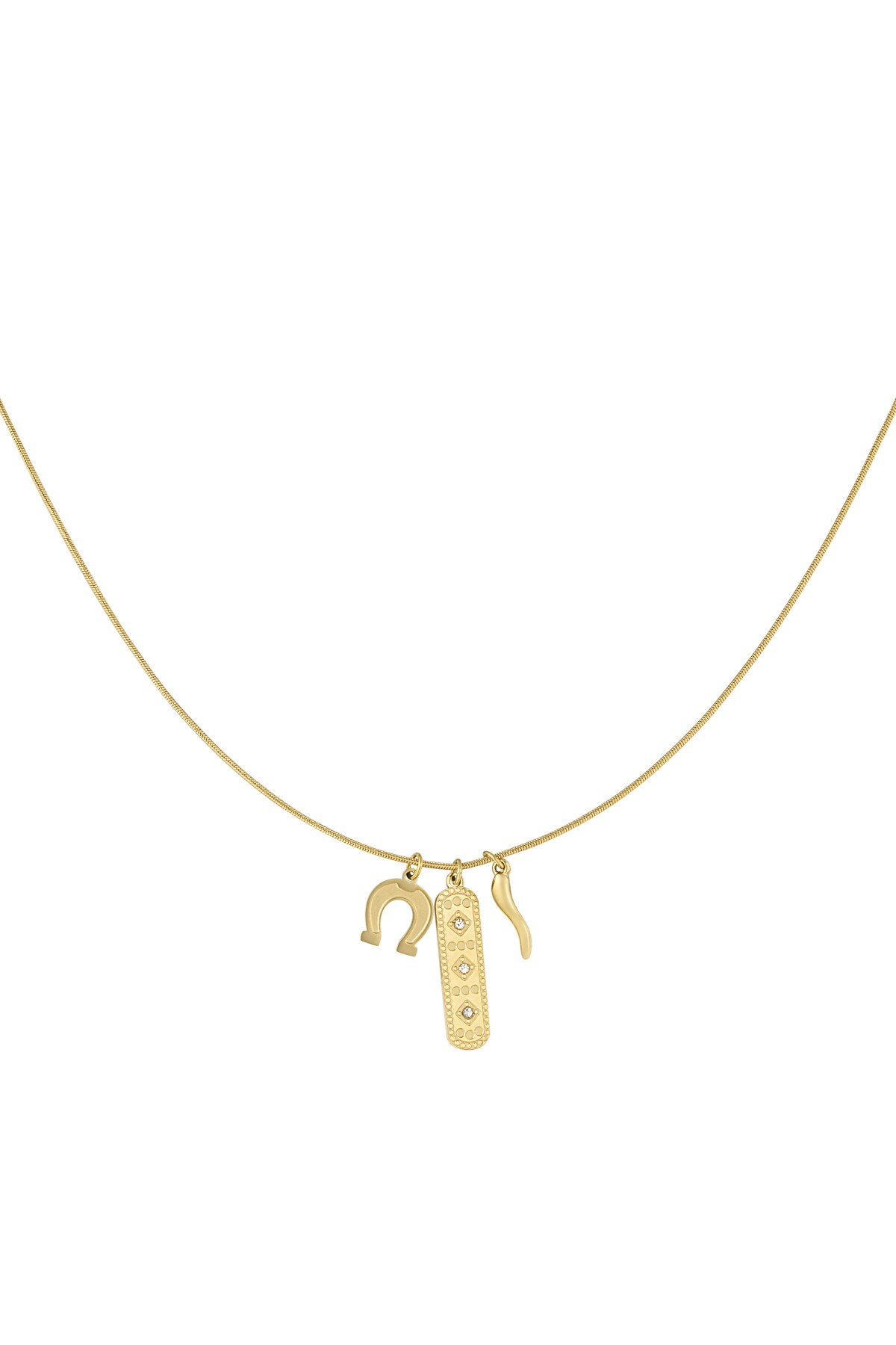 Lucky hoof necklace - Gold color h5 