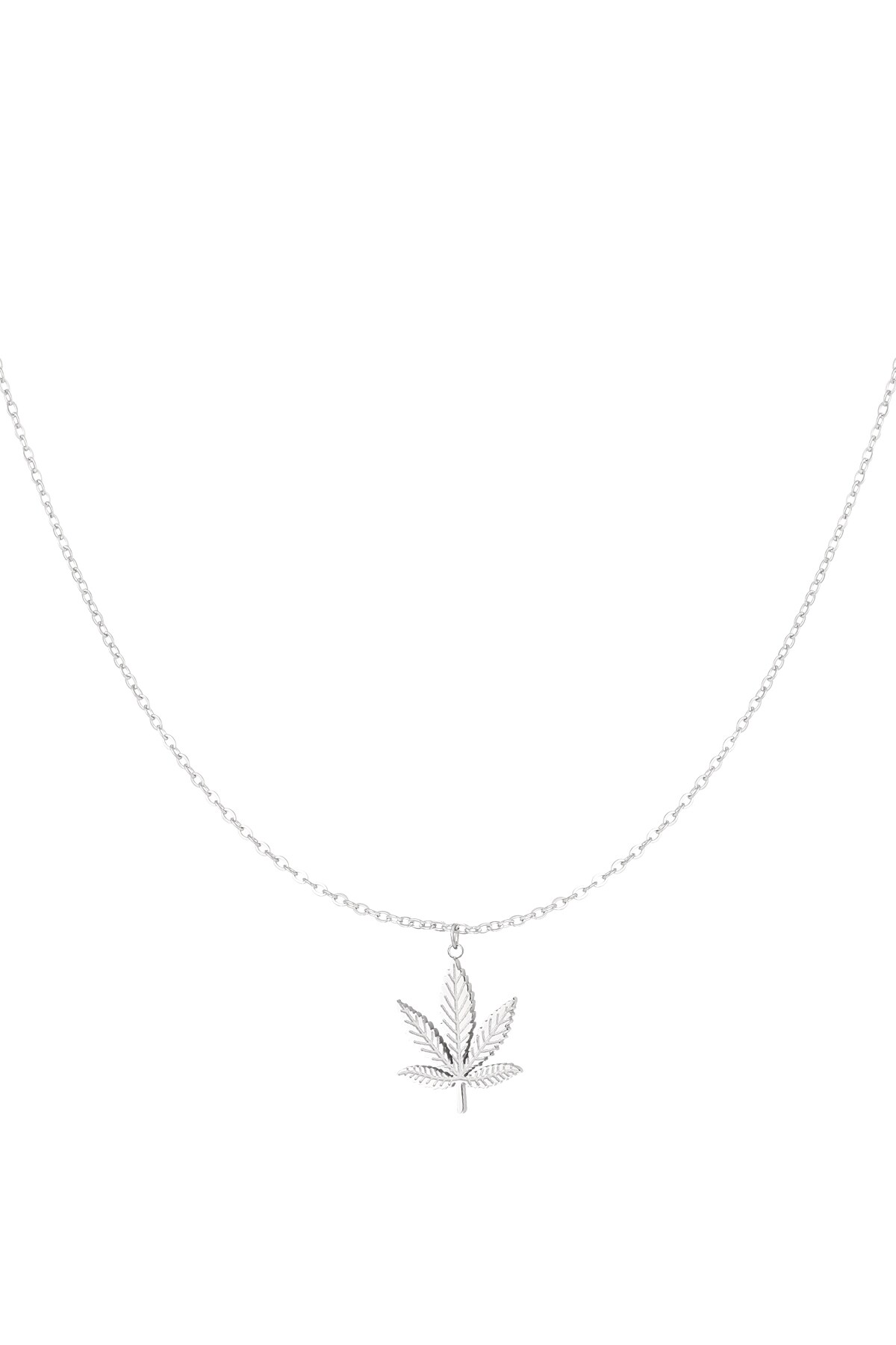 Canna bliss necklace - Silver color h5 