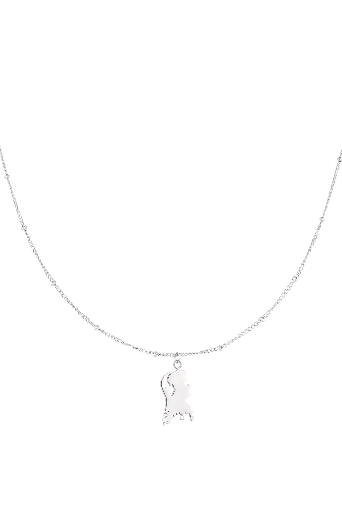 The Netherlands necklace - Silver color h5 