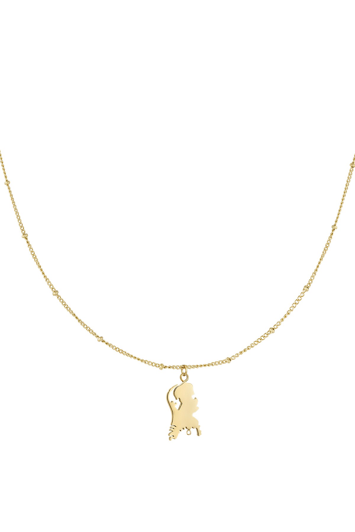 The Netherlands necklace - Gold color h5 