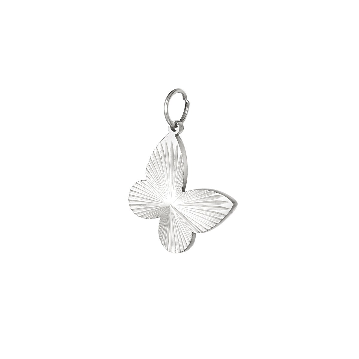 Stainless steel DIY charm butterfly h5 