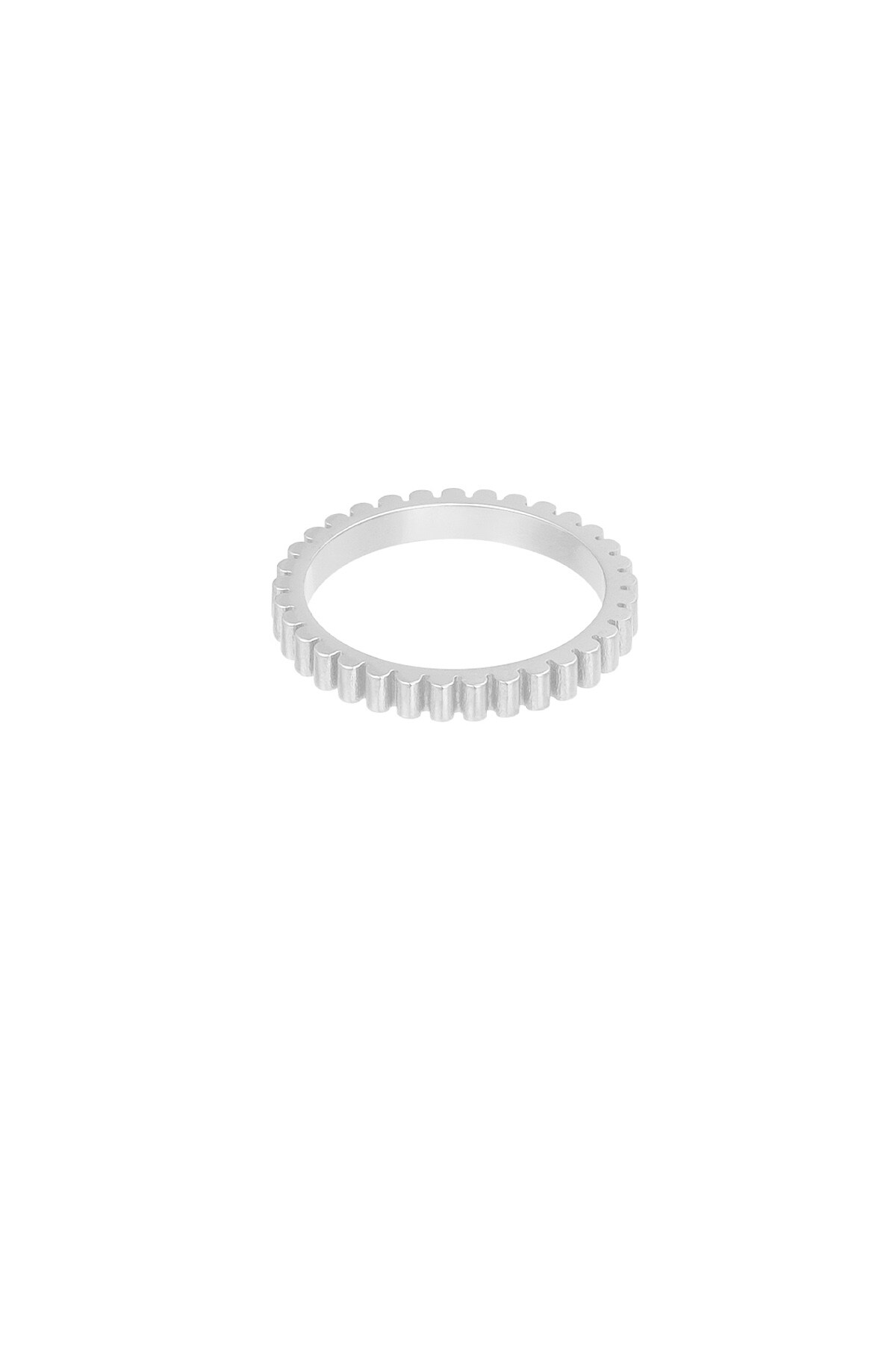 Ring rib - Silver color h5 