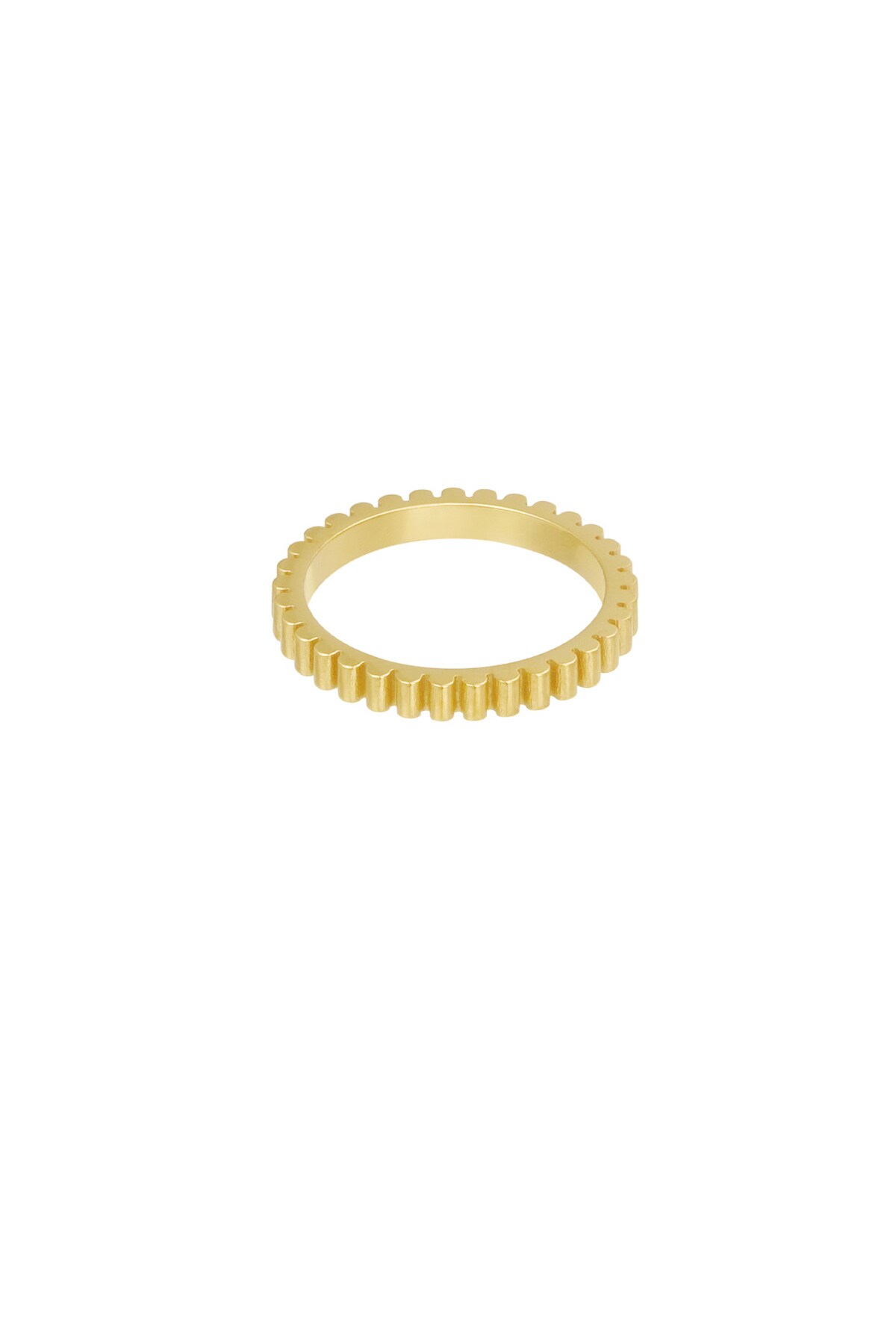 Ring rib - Gold color h5 