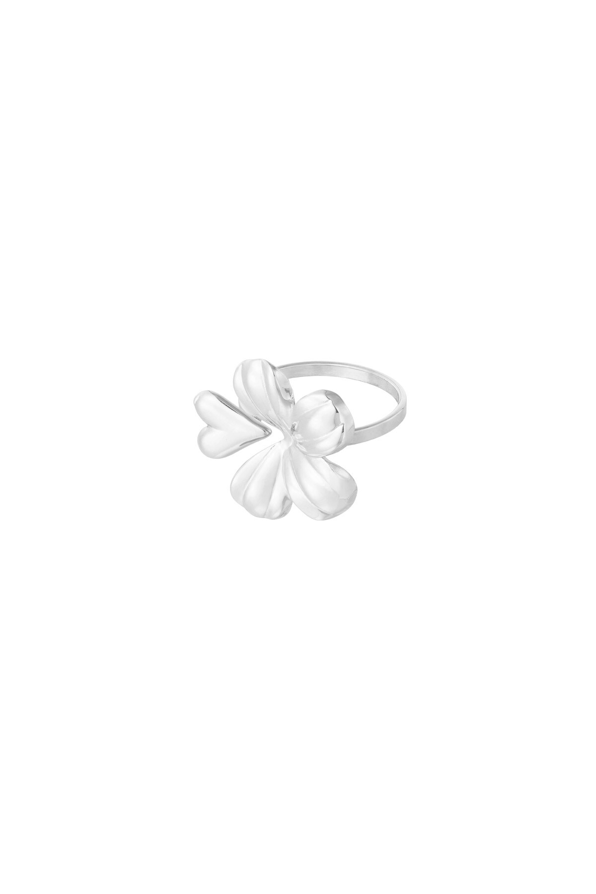 Floral Romance ring - Silver color h5 