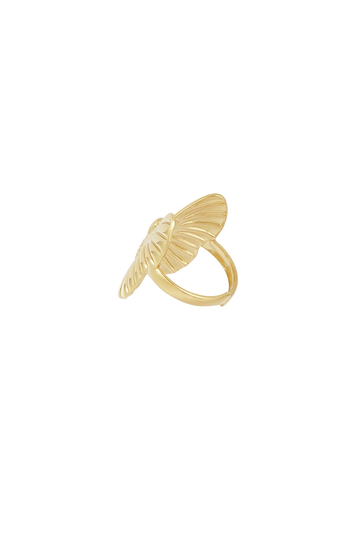 Ring fly high - Gold color h5 Picture3