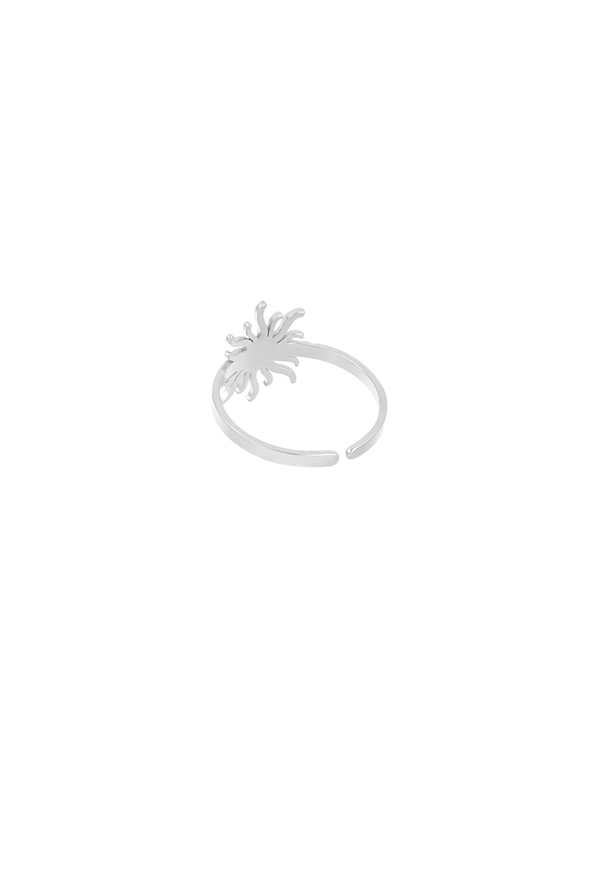 Sunny Swirl ring - Silver color h5 Picture4