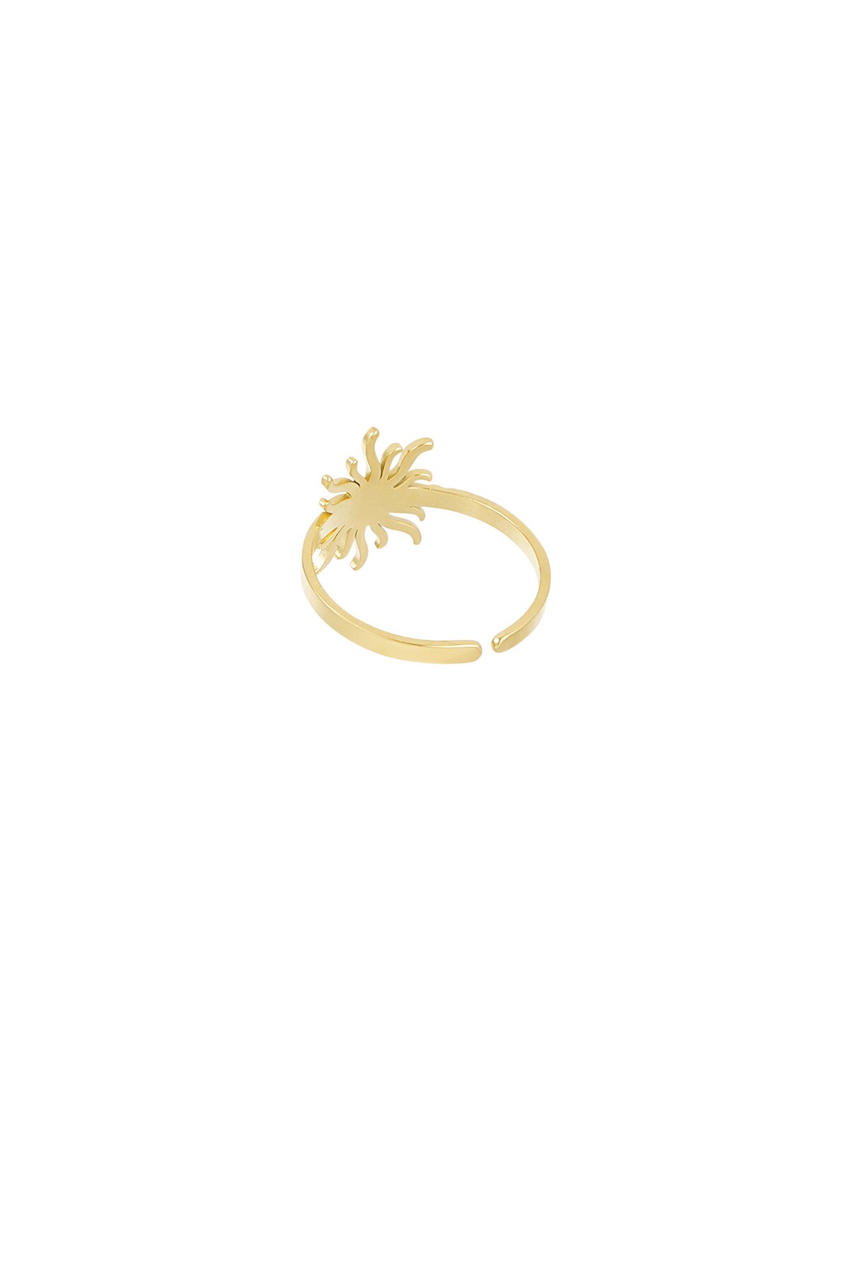 Sunny Swirl ring - Gold color Picture4