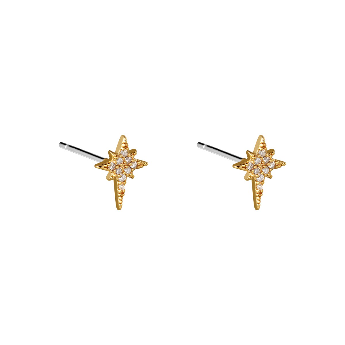 Earrings Starred 