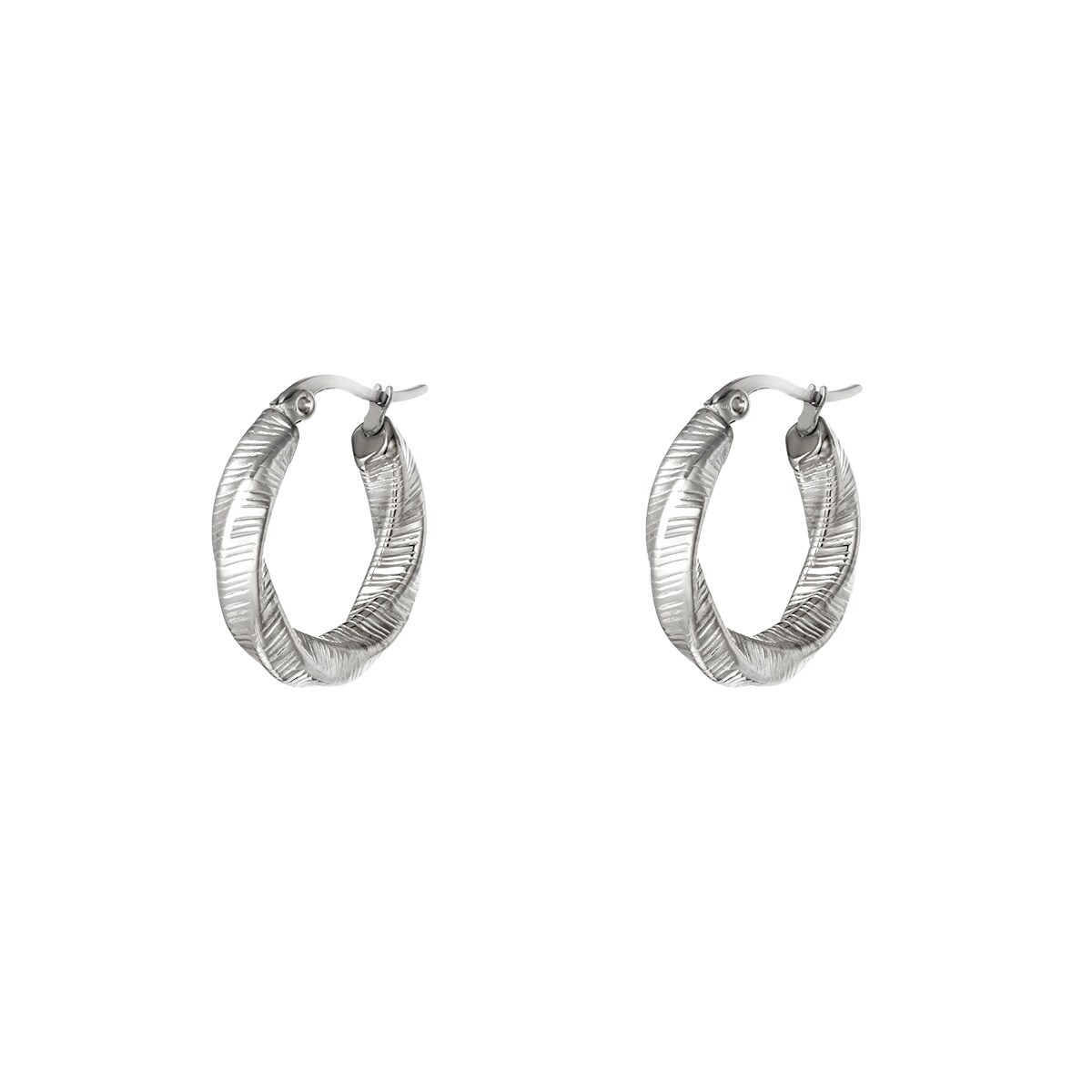 Stainless steel hoop earrings h5 