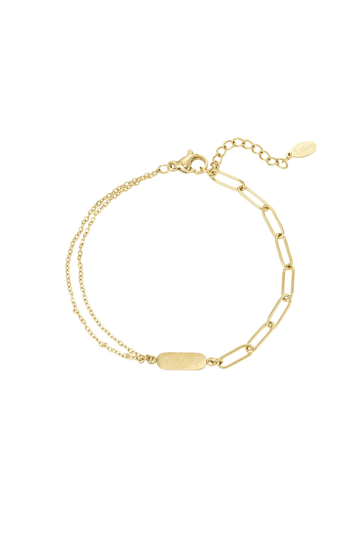 Stainless Steel Bracelet with Double Chain and Charm Gold h5 