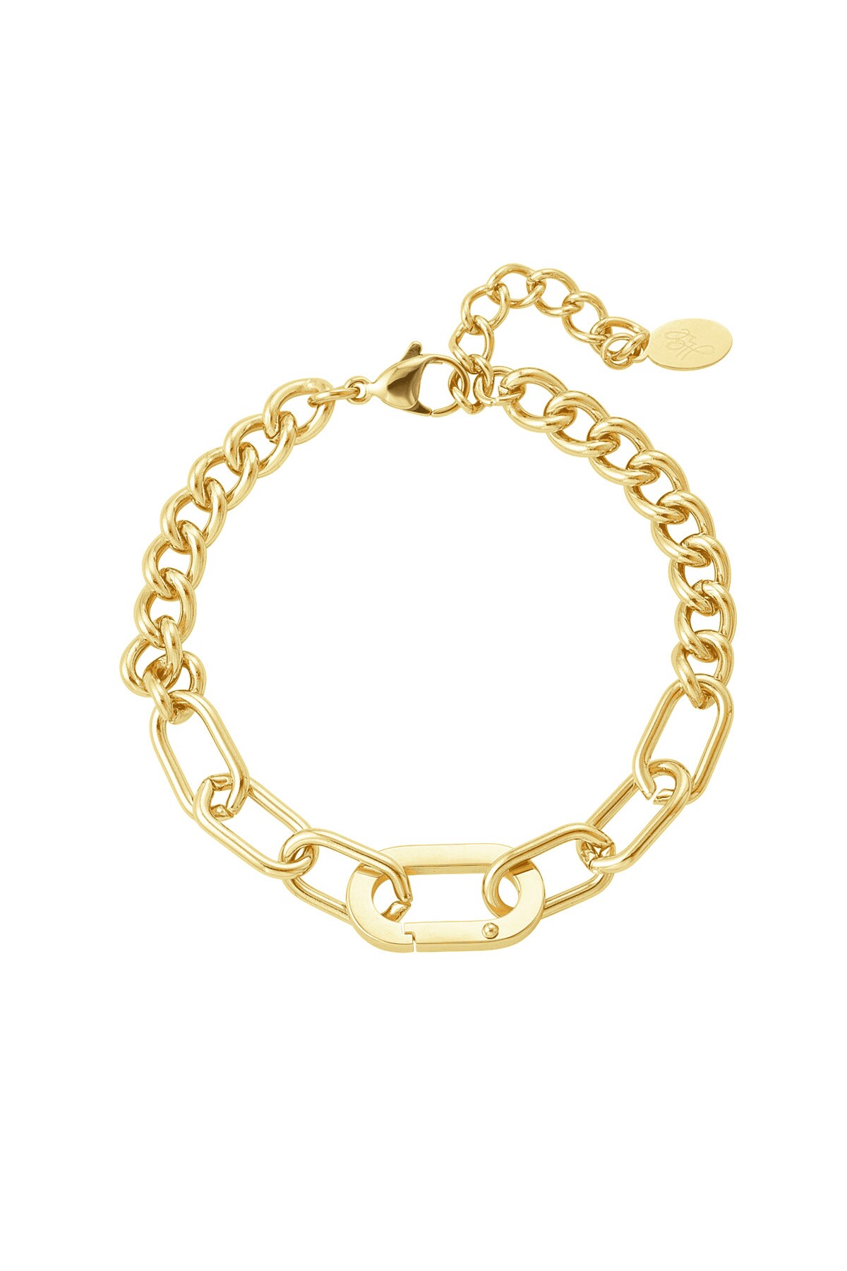 Link bracelet 2 styles - gold Stainless Steel h5 