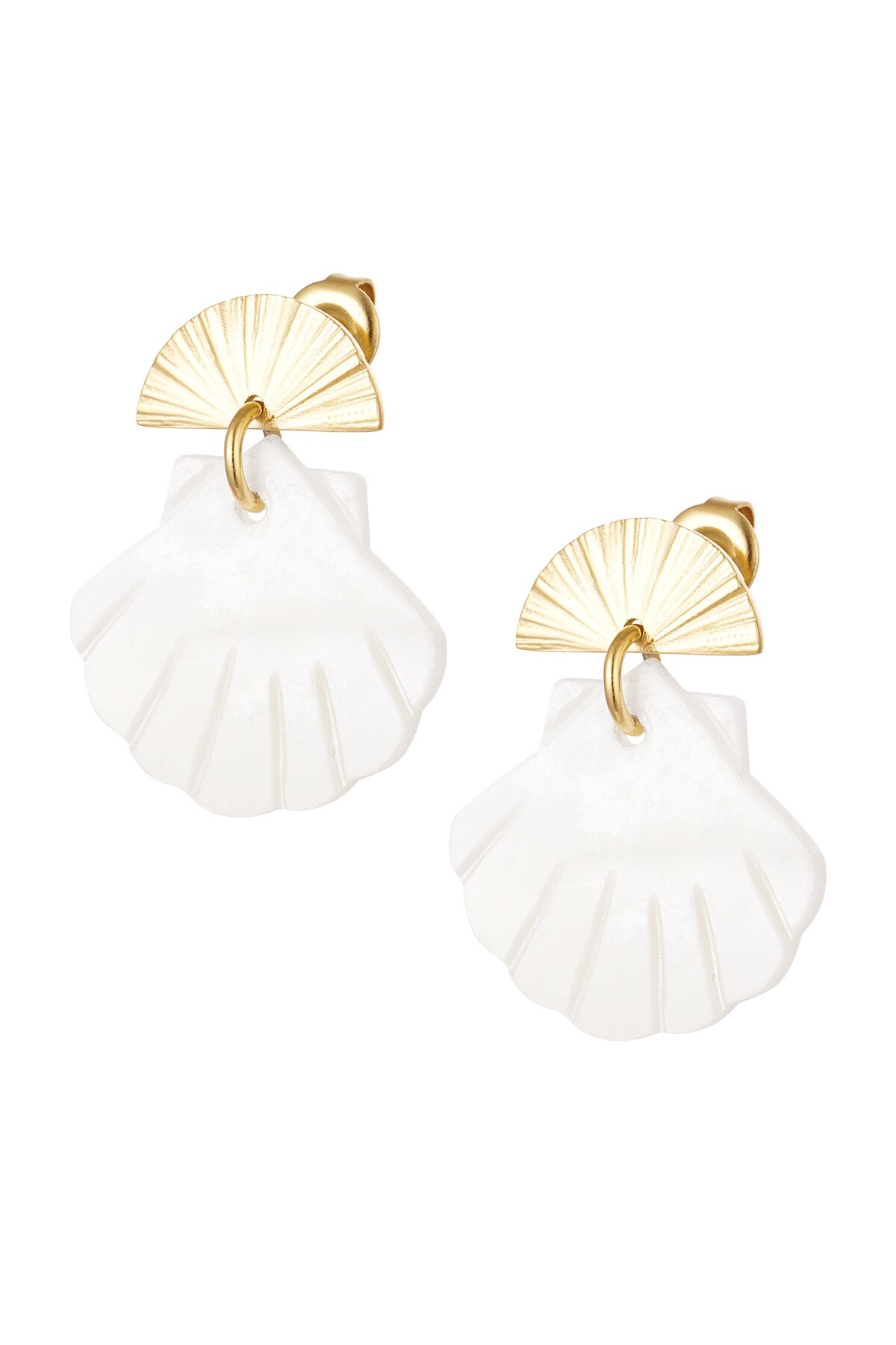 Earrings sea shell asymmetrical shape - gold Stainless Steel h5 