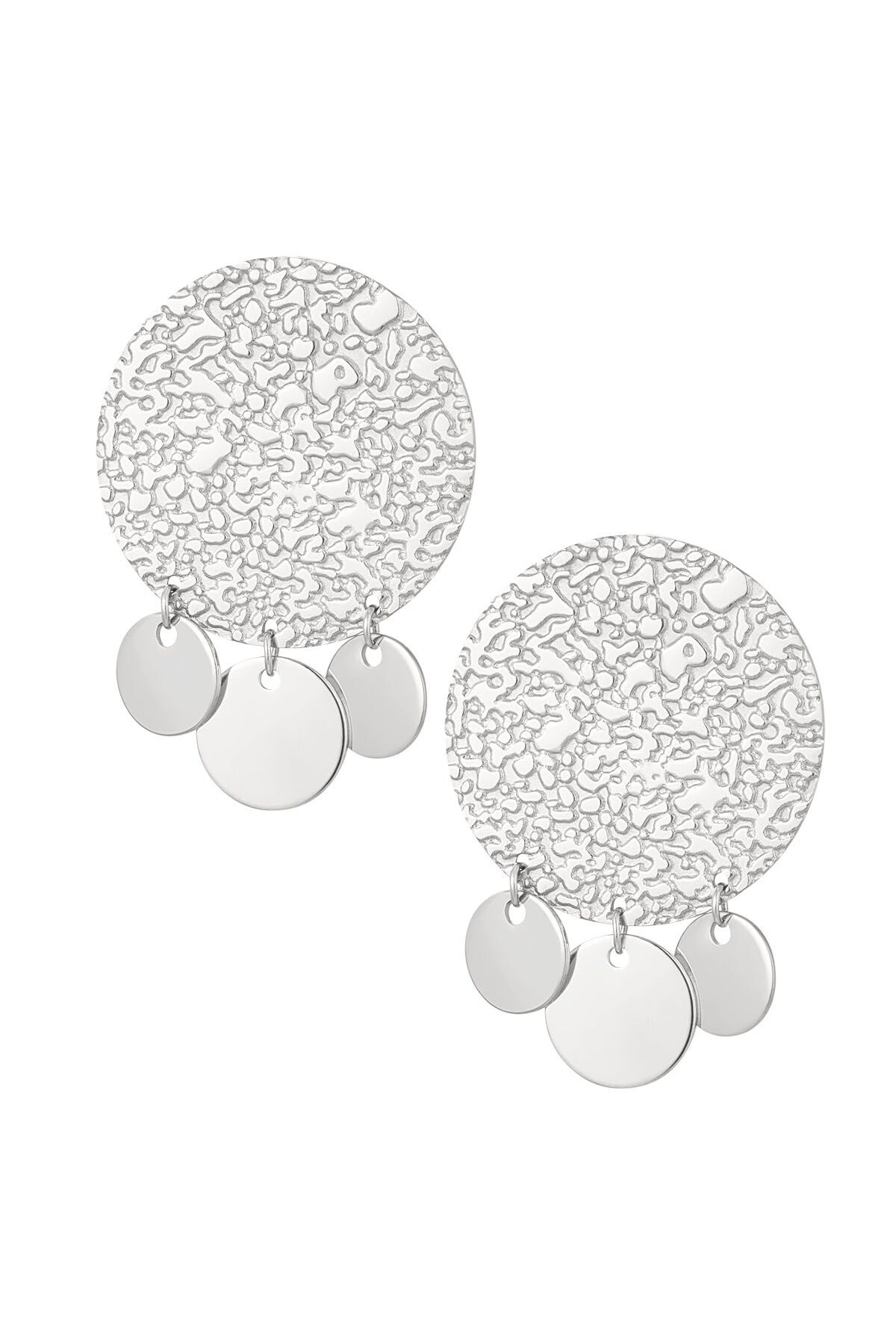 Earrings coin with bells - Silver color h5 