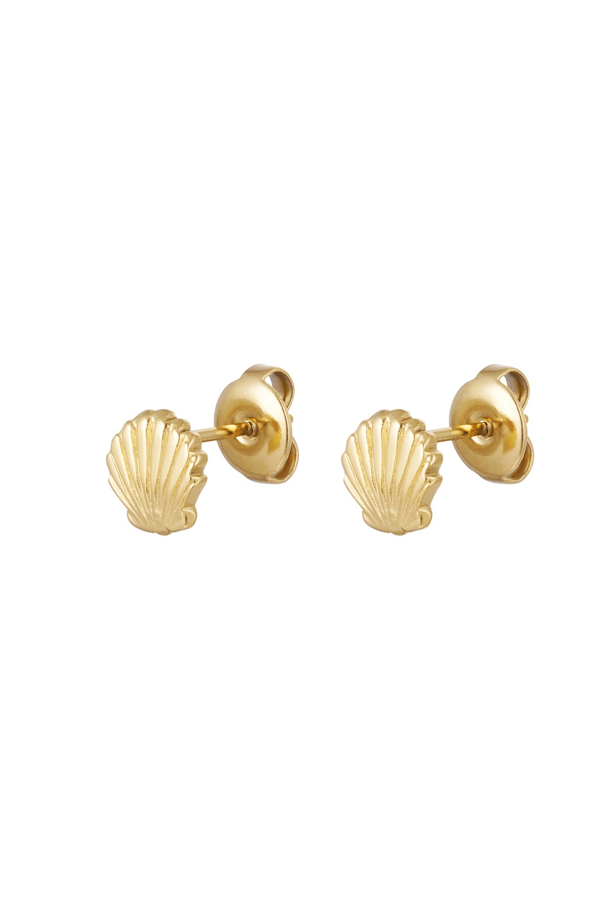 Ear studs shell - Gold color h5 