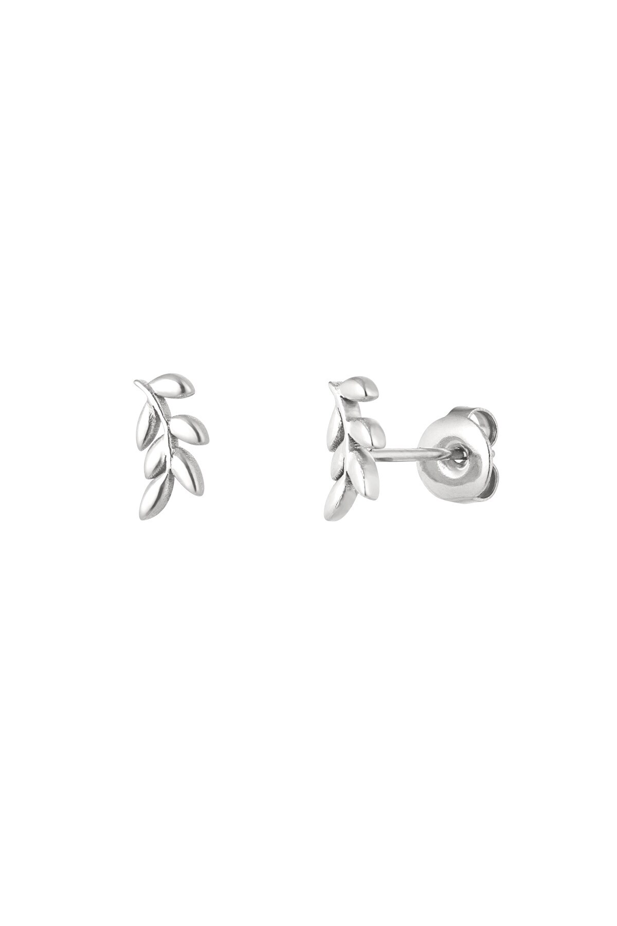 Ear studs leaves - Silver color h5 