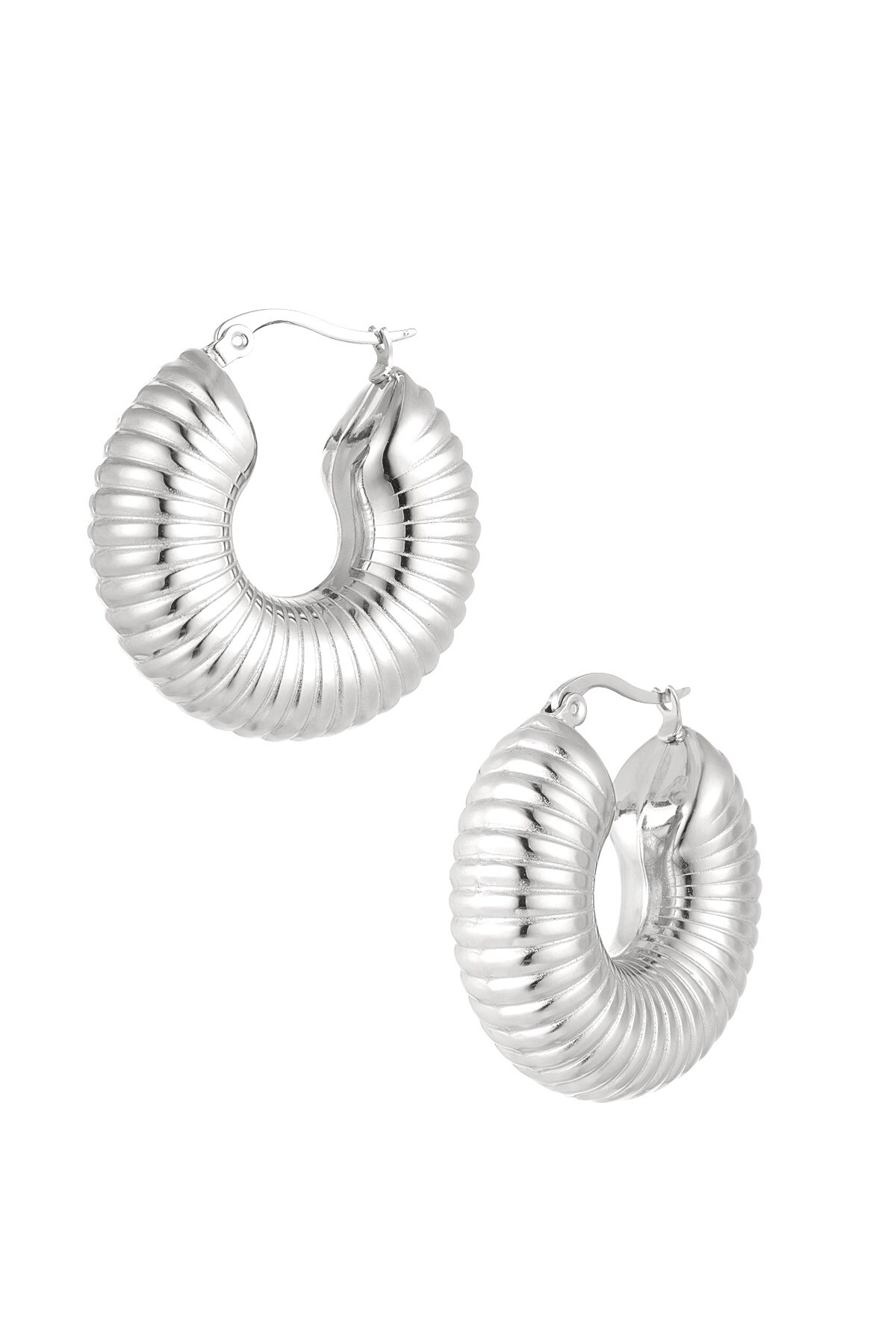 Earrings aesthetic round - Silver color h5 