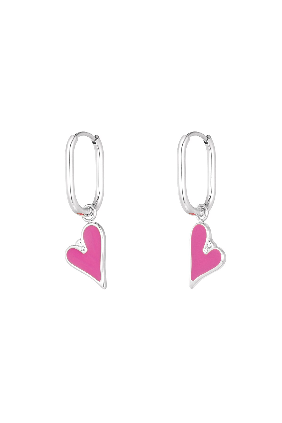 Earrings love bird - Silver color h5 