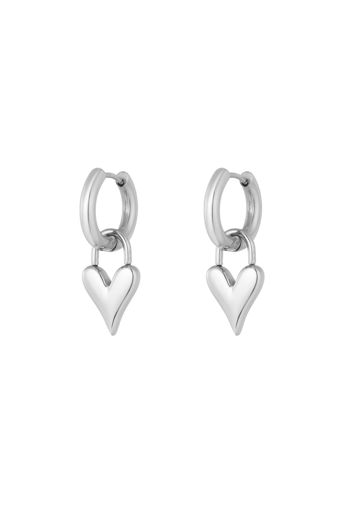 Lucky love earrings - Silver color h5 