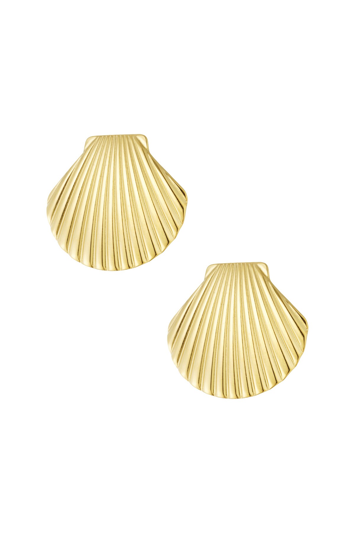 Shell statement earrings - Gold color h5 