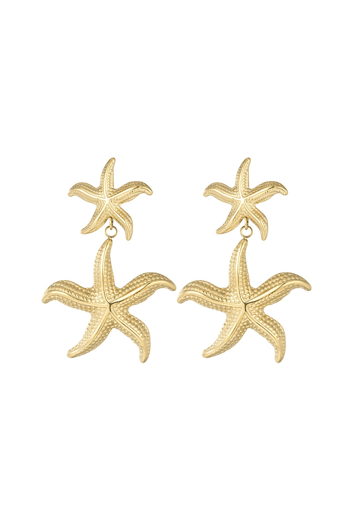 Double starfish earrings - Gold color h5 