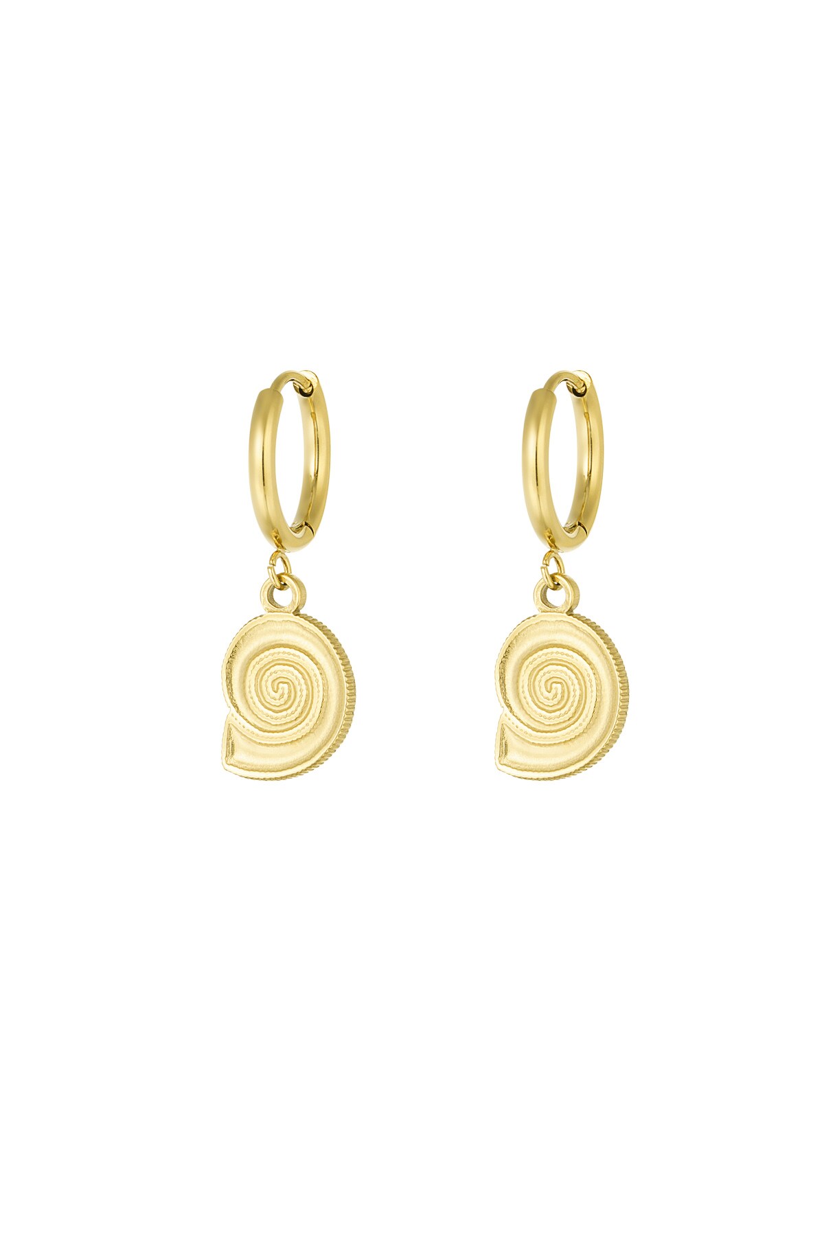 Earrings shell swirl - Gold color h5 