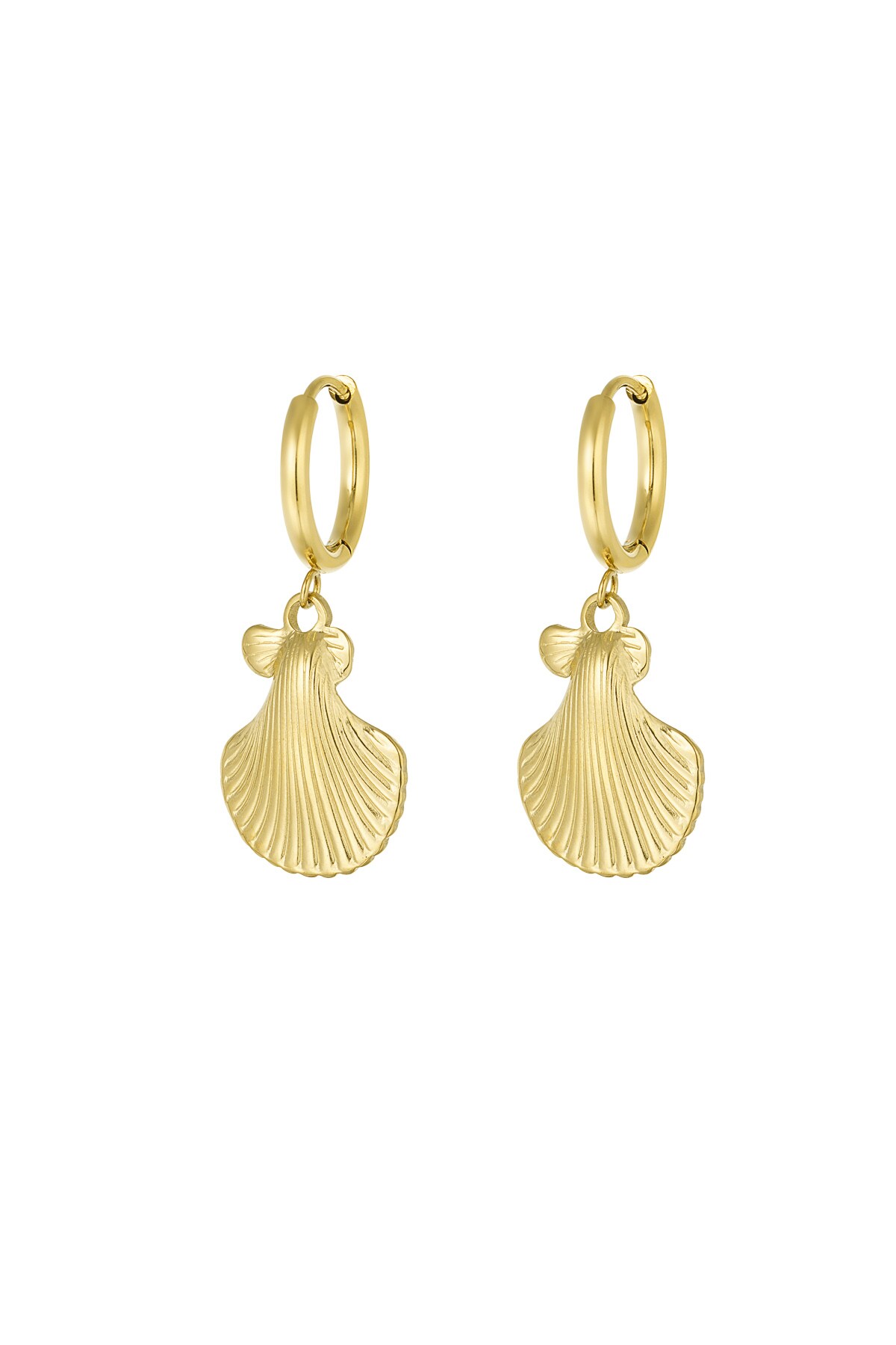 Earrings shell story - Gold color h5 