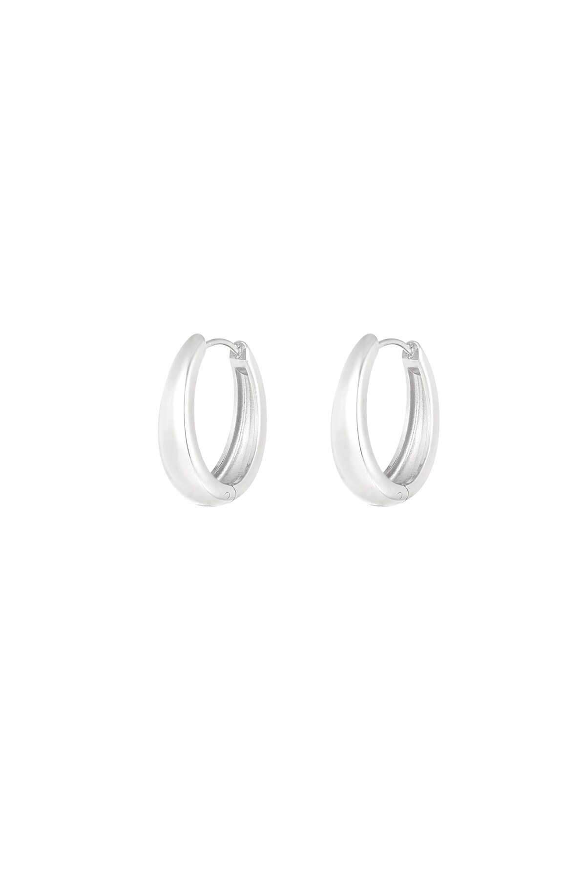 Classy hoop earrings - Silver color h5 