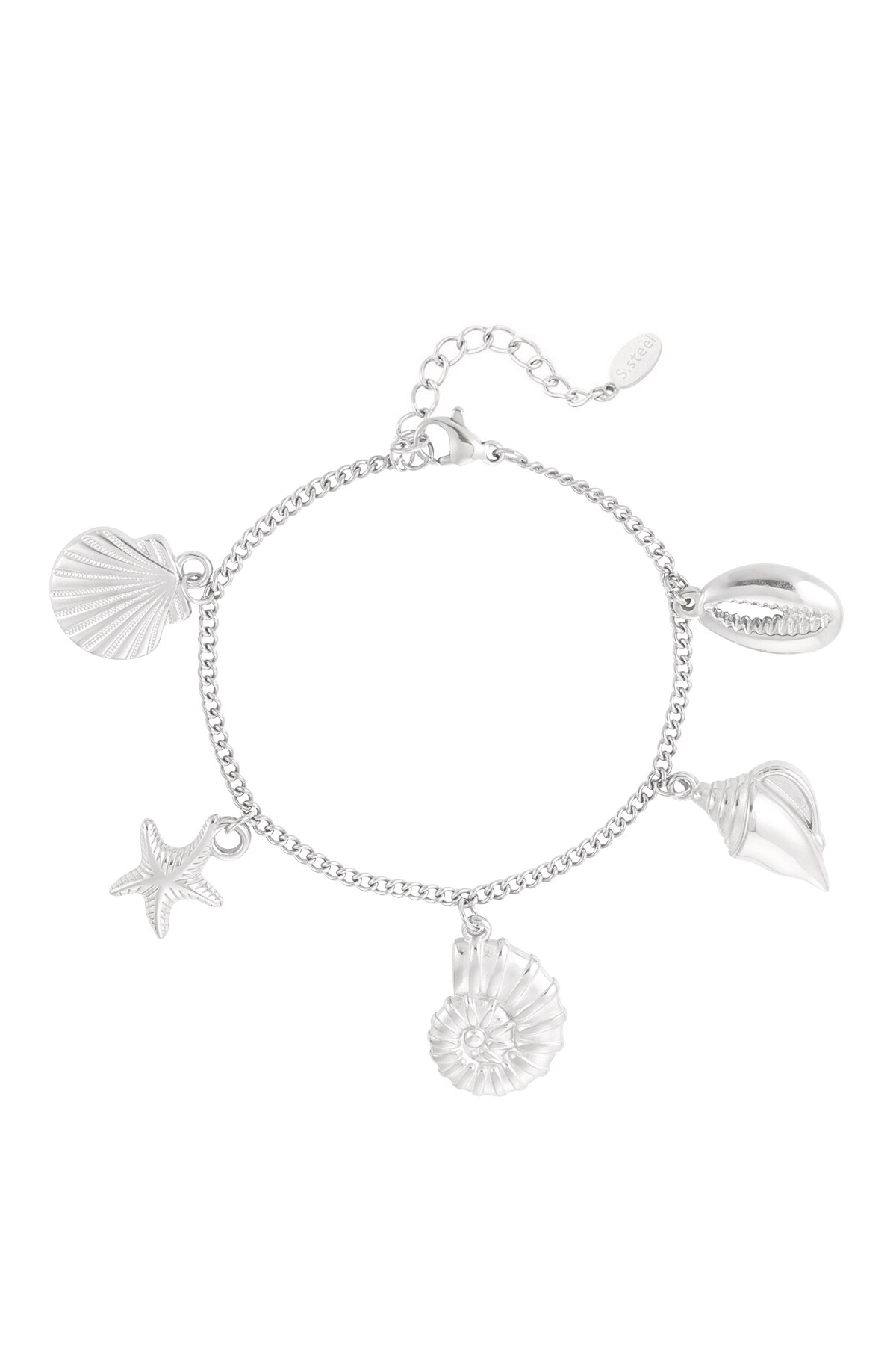 Charm bracelet with shells - Silver color h5 