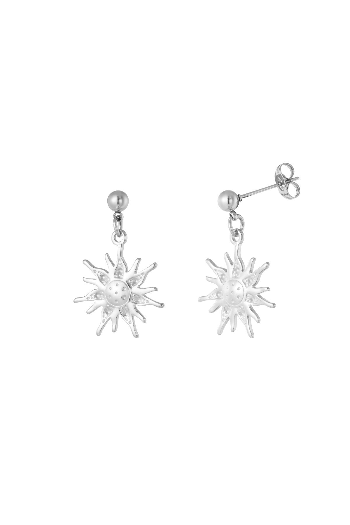 Sunny side earrings - Silver color h5 