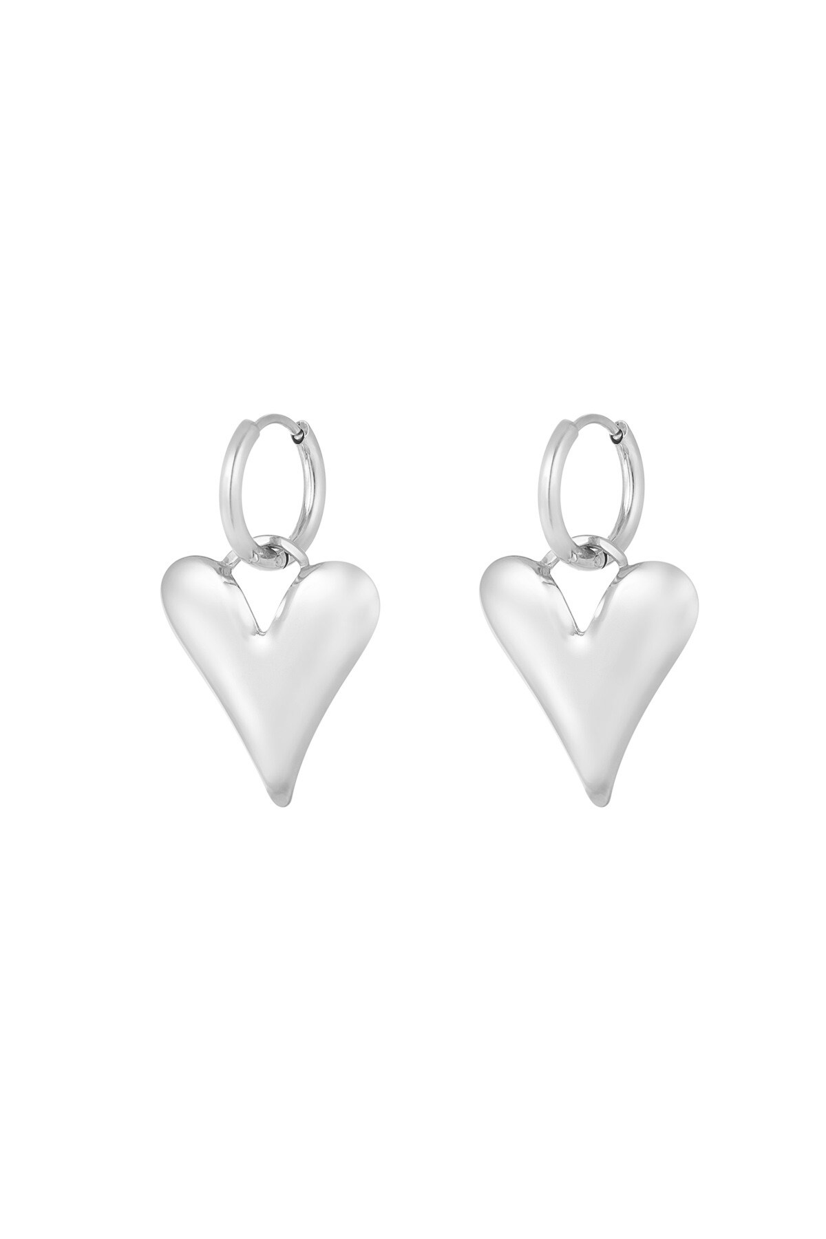 Big-Hearted earrings - Silver color h5 