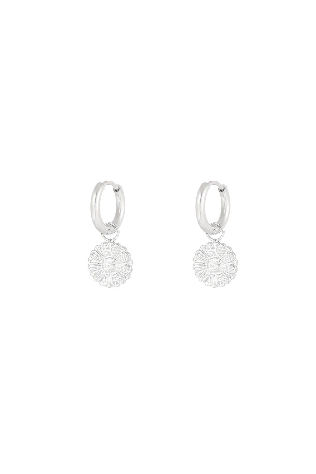 Sweet Daisies earrings - Silver color h5 