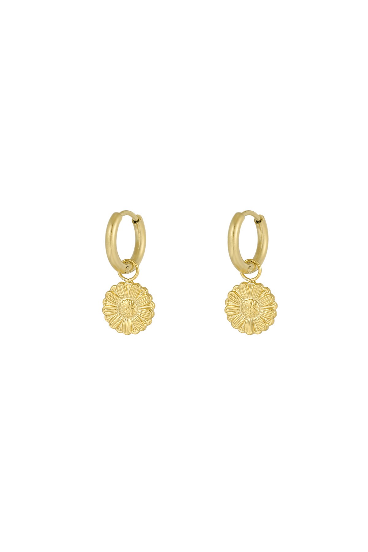 Sweet Daisies earrings - Gold color h5 