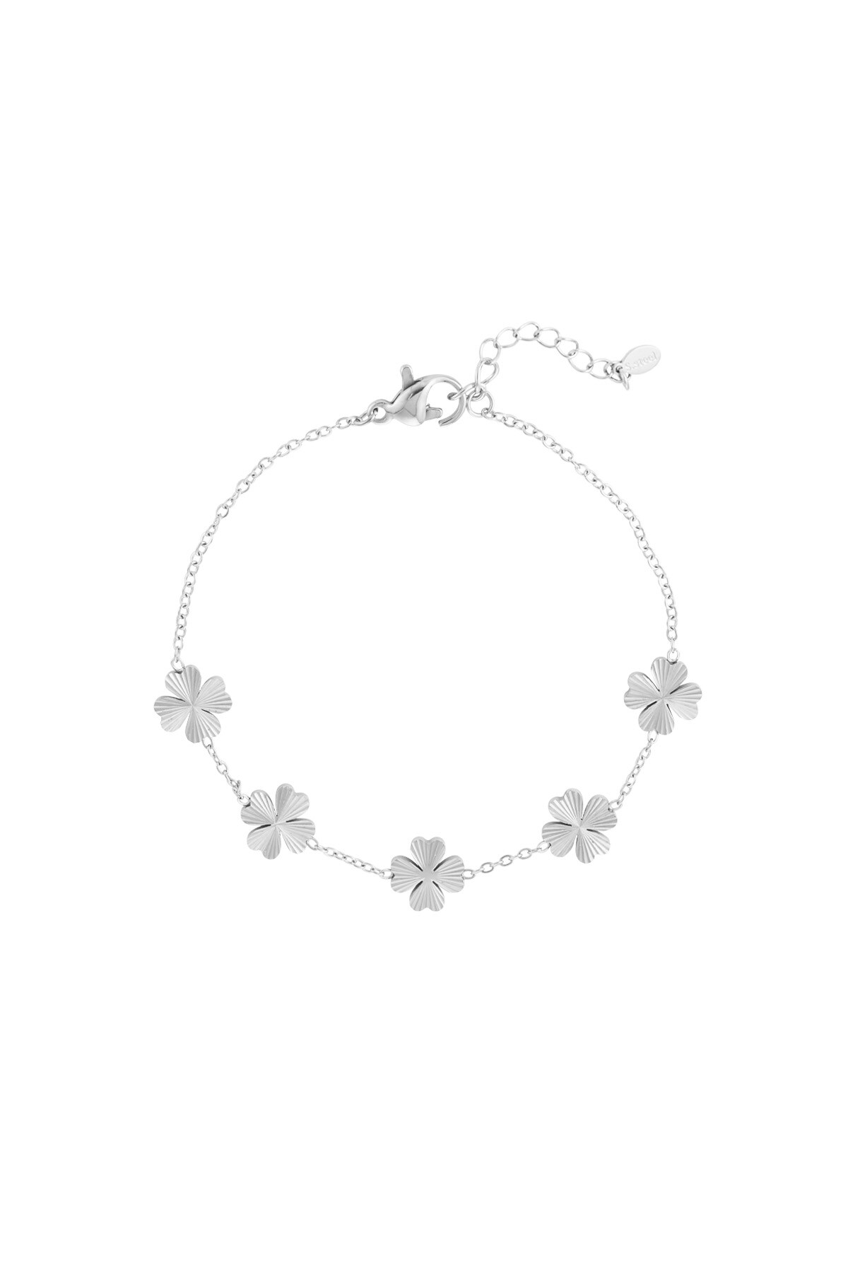 Leafy luck bracelet - Silver color h5 