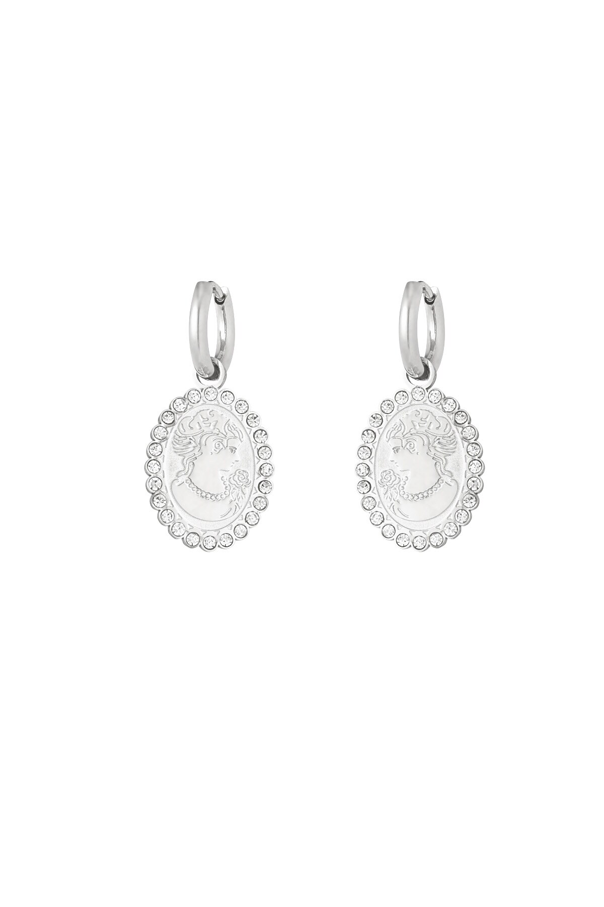 Classy lady earrings - Silver color h5 