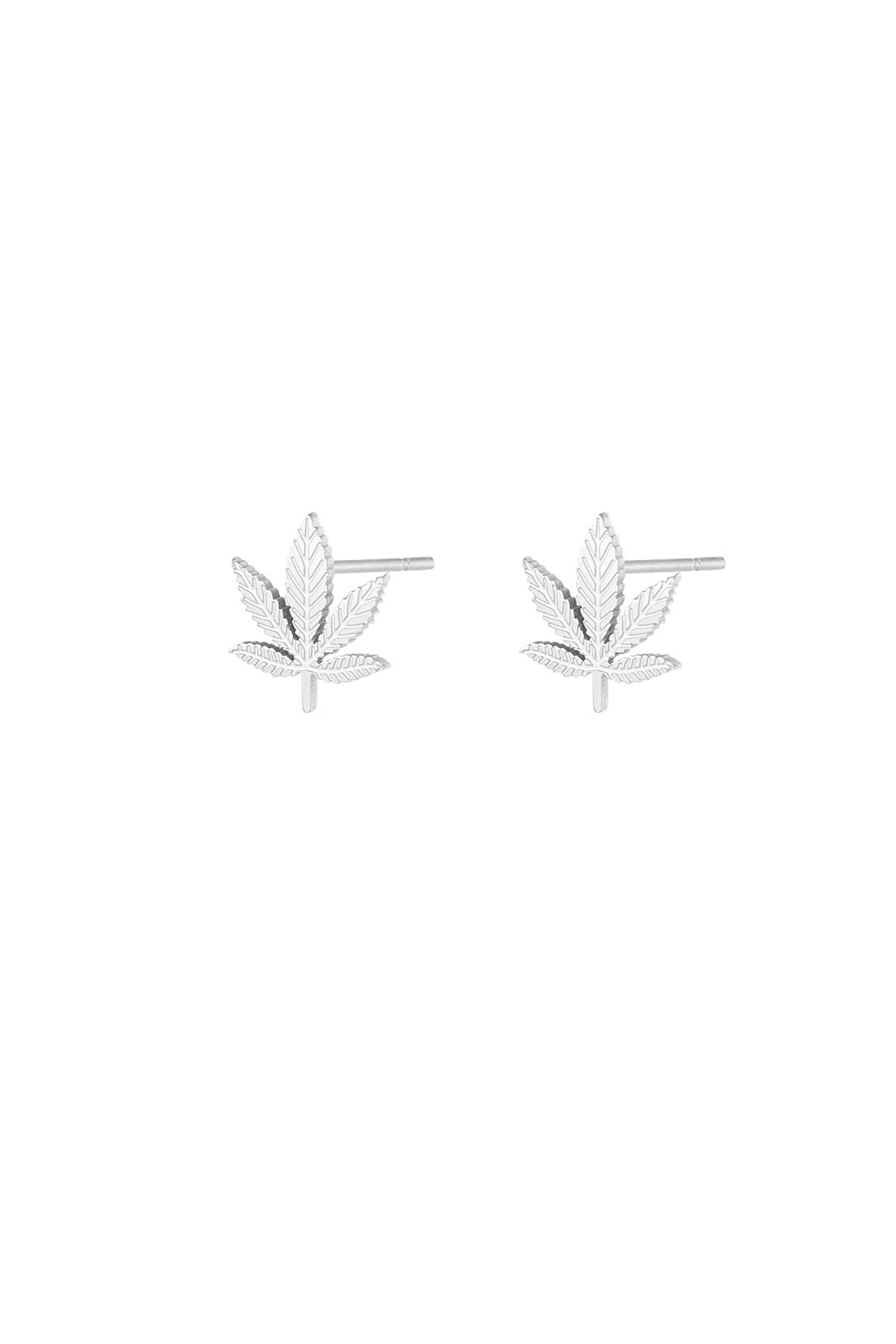 Canna bliss studs - Silver color h5 