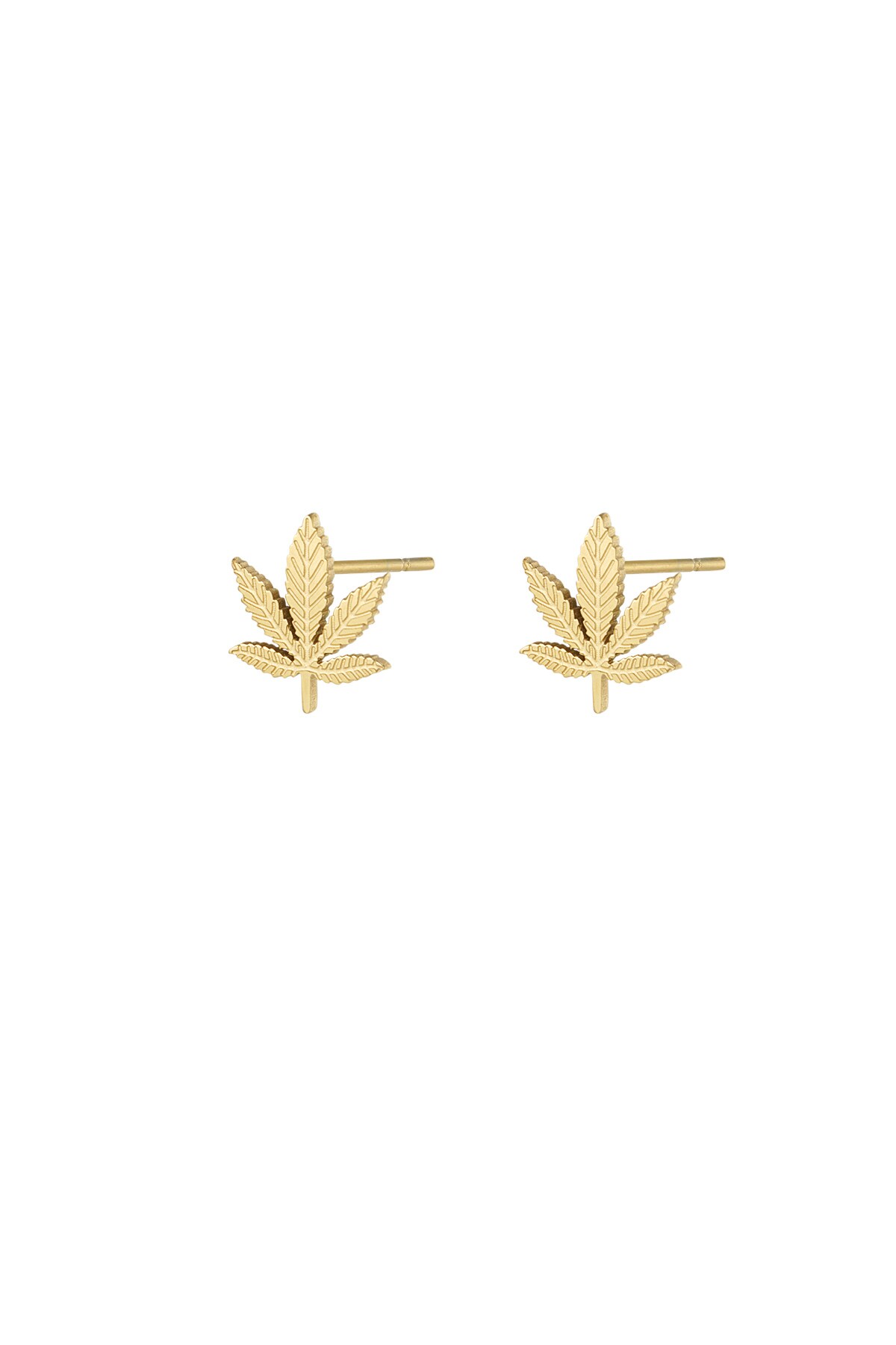 Canna bliss studs - Gold color h5 