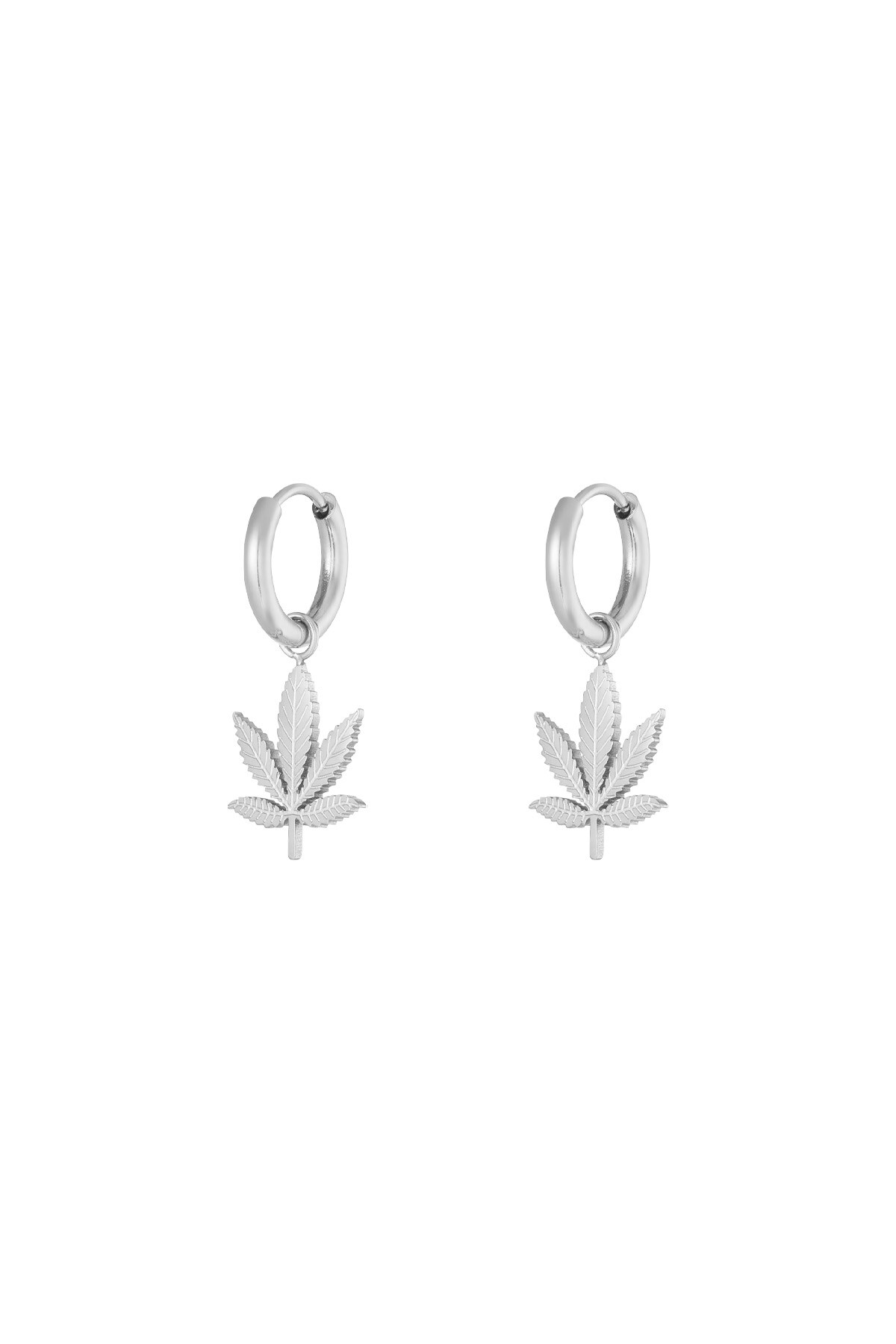 Canna bliss earrings - Silver color h5 