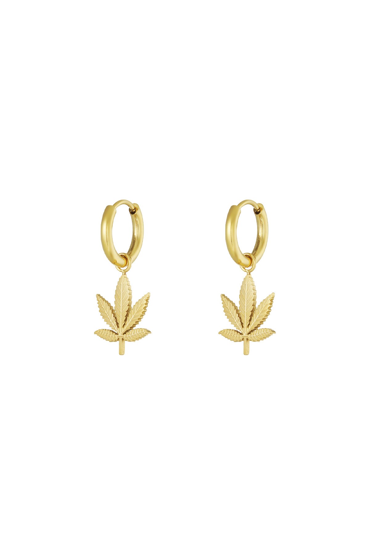 Canna bliss earrings - Gold color h5 