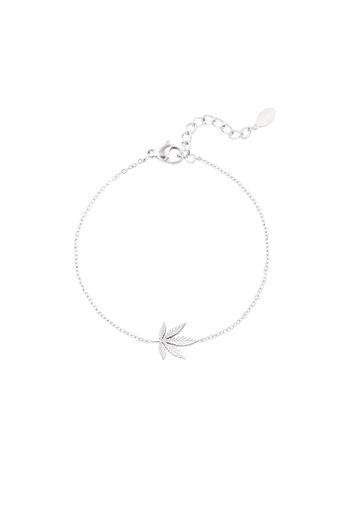 Canna bliss bracelet - Silver color h5 