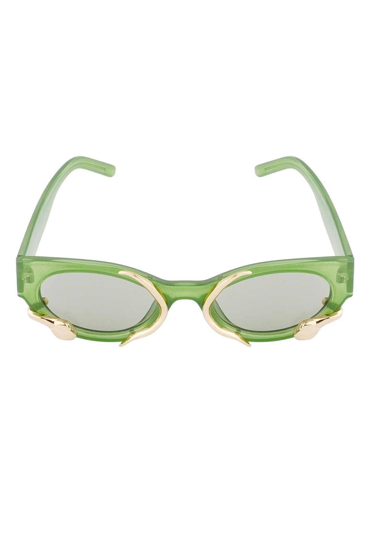 Snake sunglasses - green  Picture5