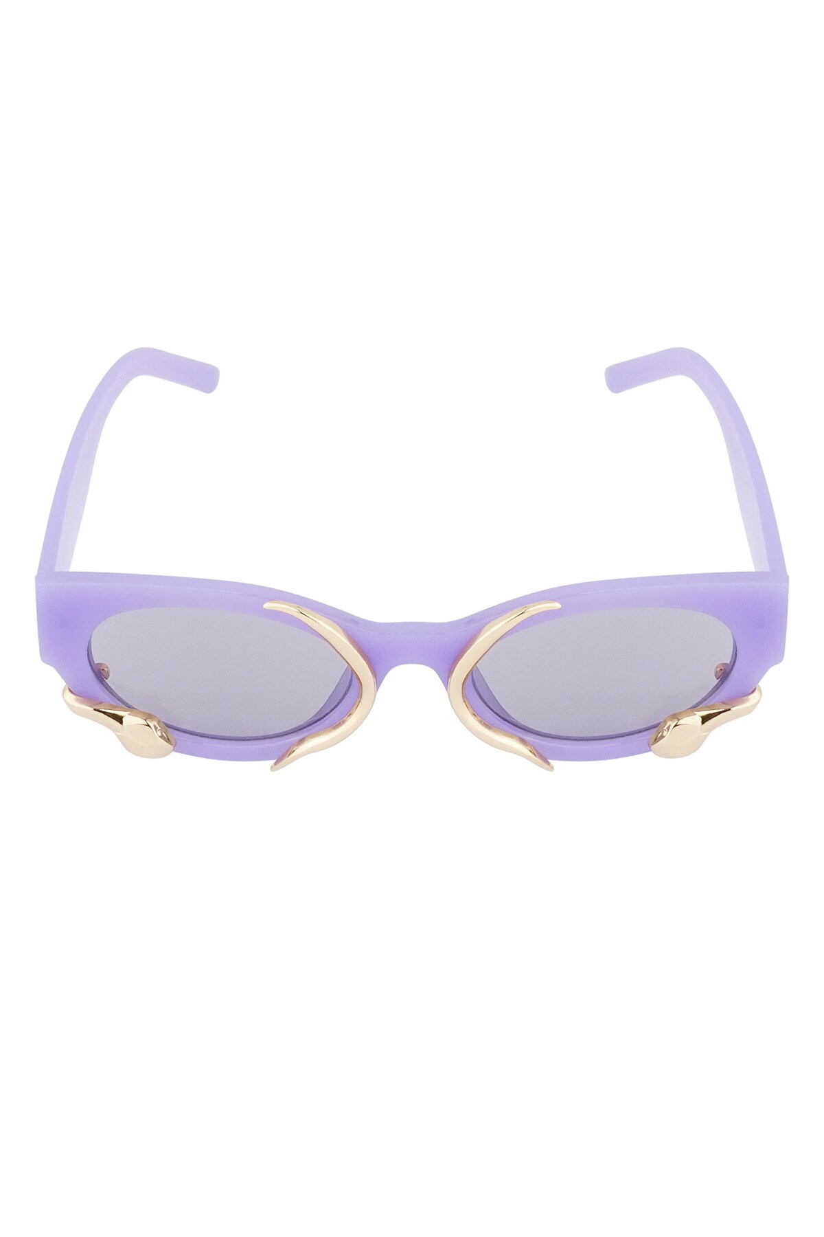 Snake sunglasses - purple Picture5