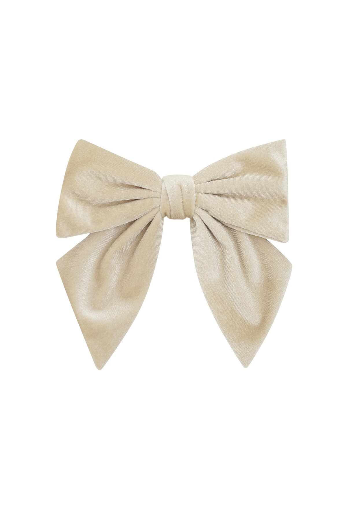 Short cute bow - champagne  